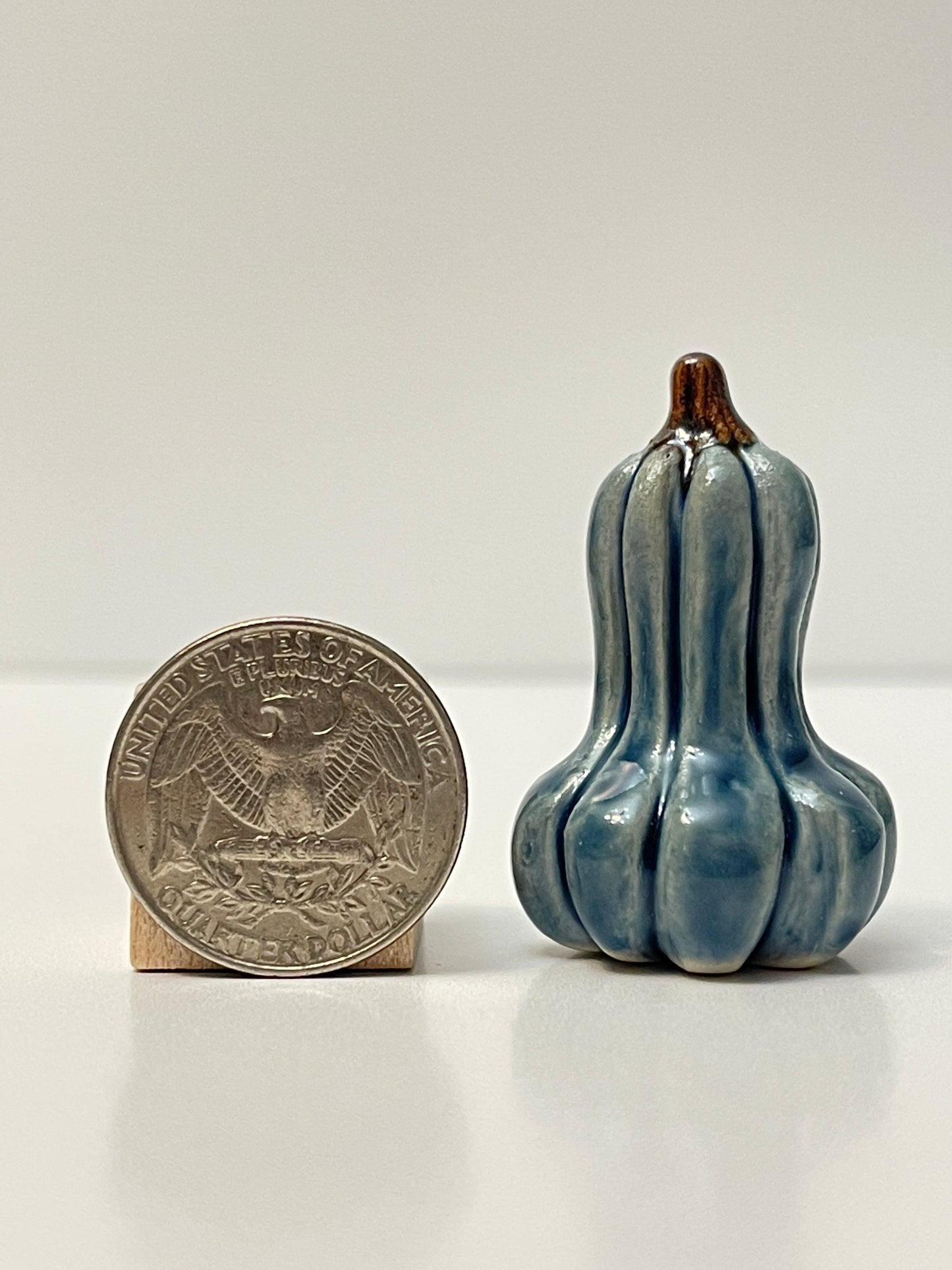 Mini Pumpkin - Shiny Blue - Gourd