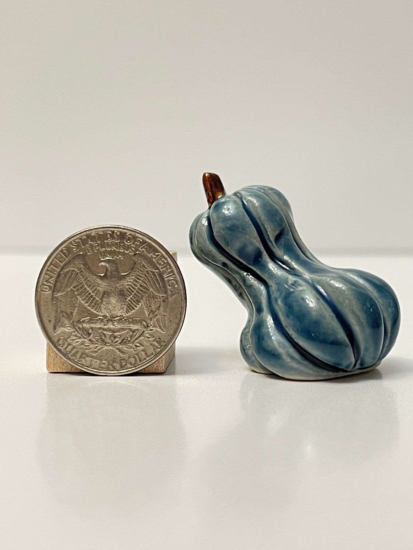 Mini Pumpkin - Shiny Blue - Oblong Gourd
