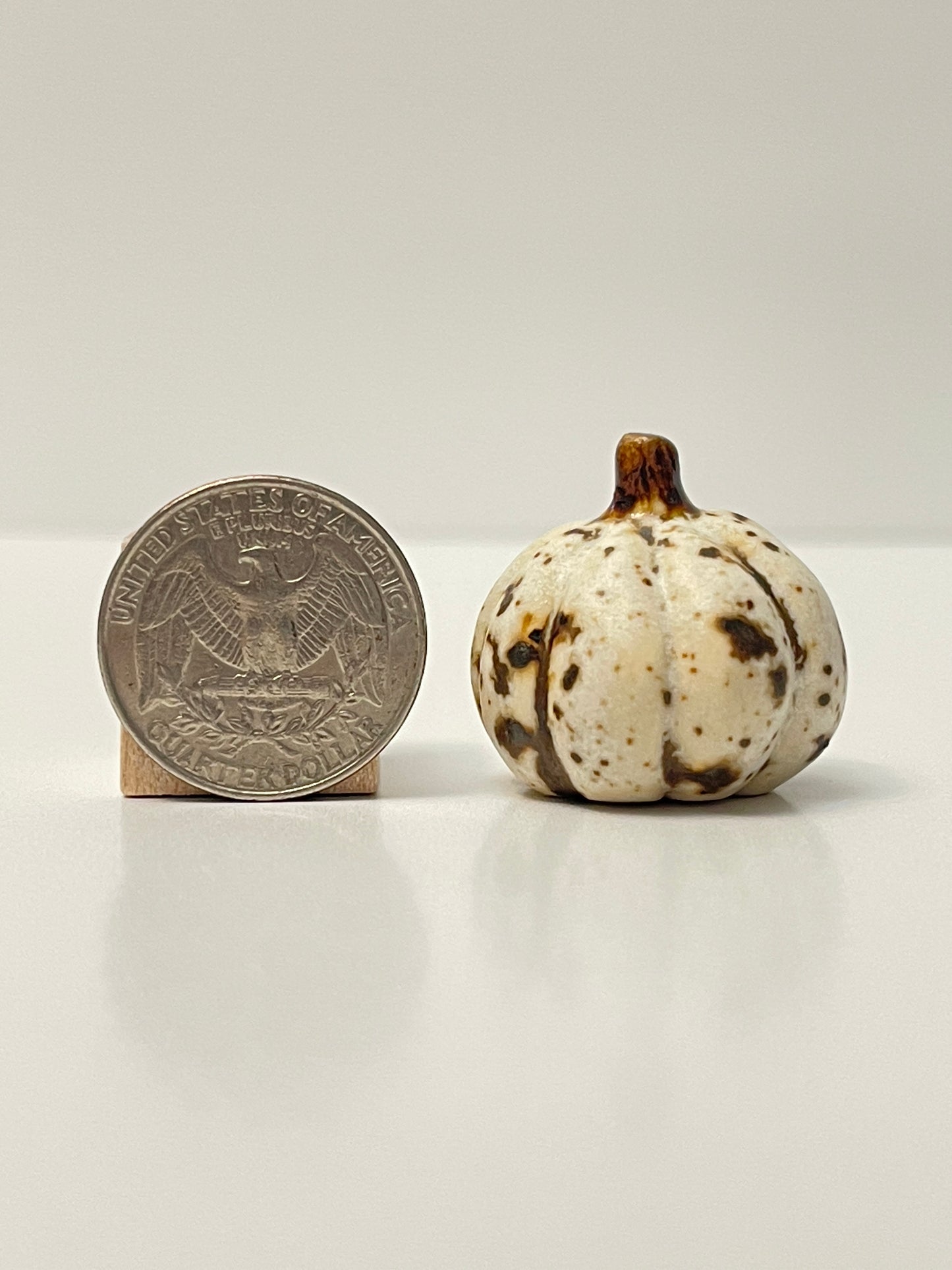 Mini Pumpkin - Winter Wood - Round
