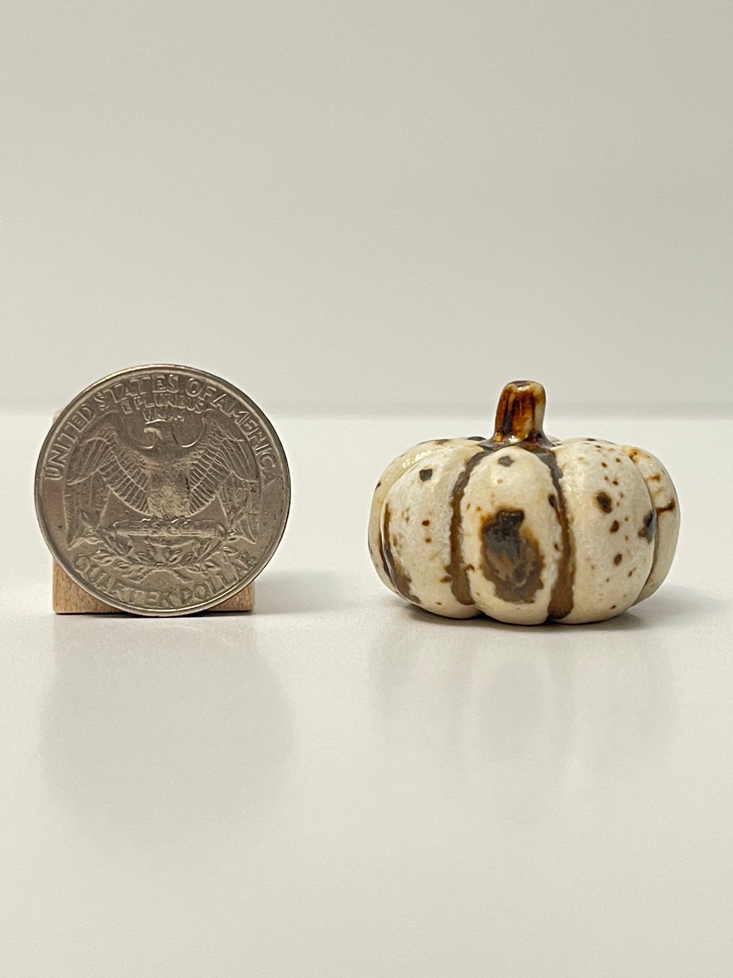 Mini Pumpkin - Winter Wood - Squished