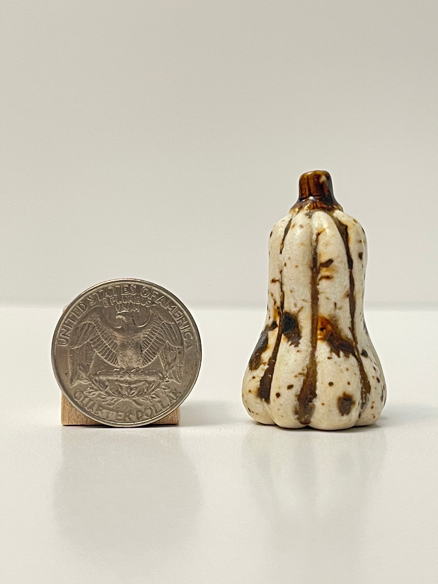 Mini Pumpkin - Winter Wood - Gourd