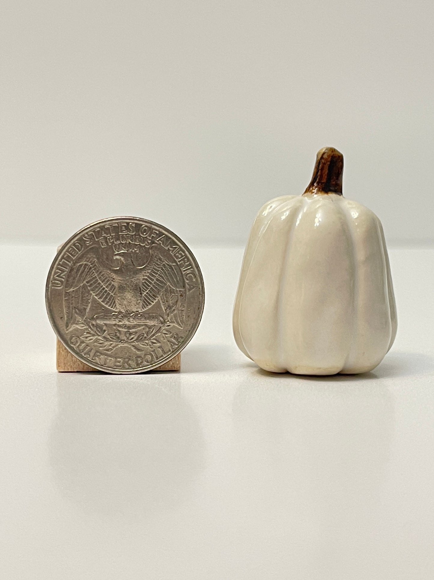Mini Pumpkin - White - Tall