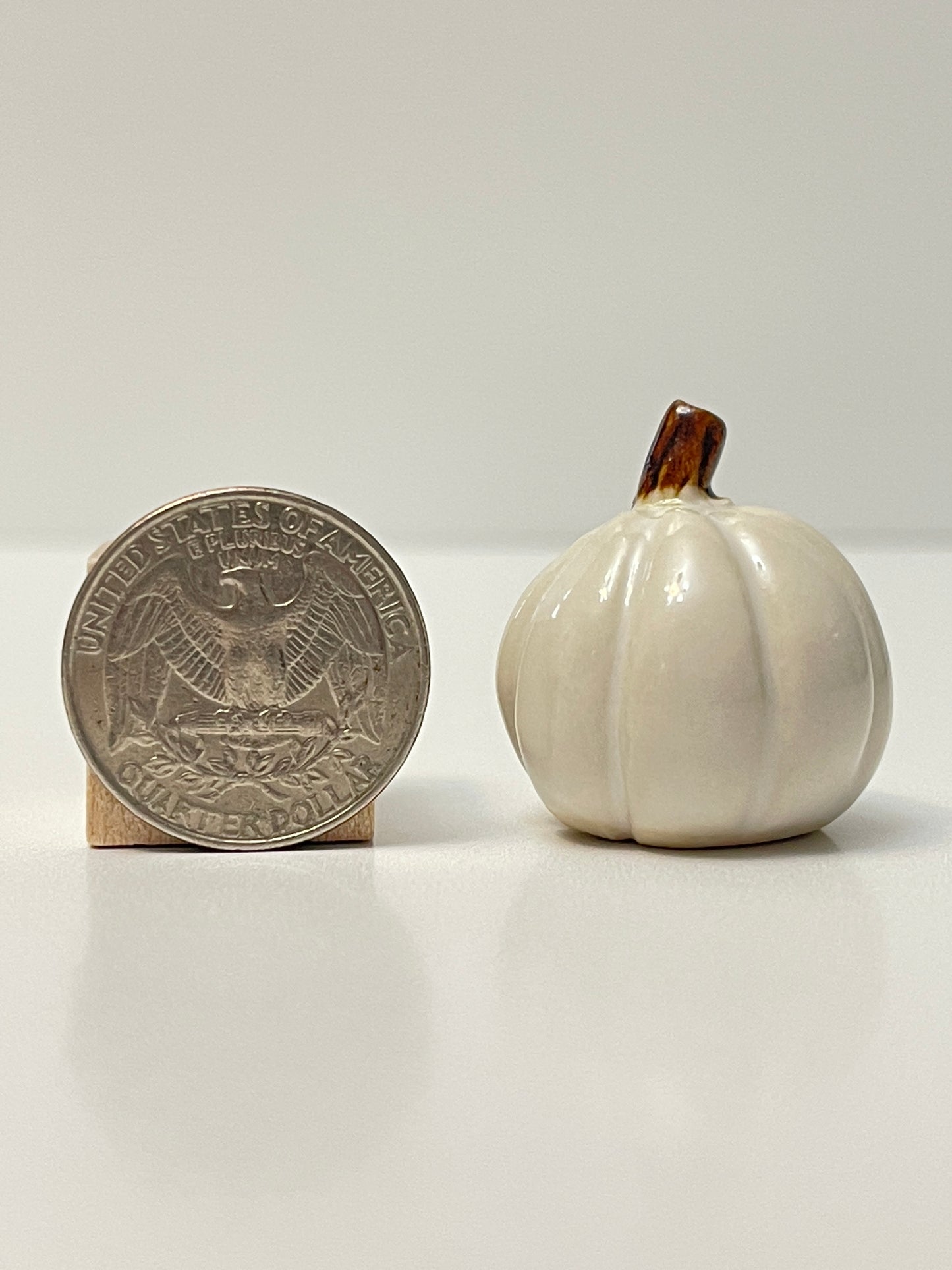 Mini Pumpkin - White - Round