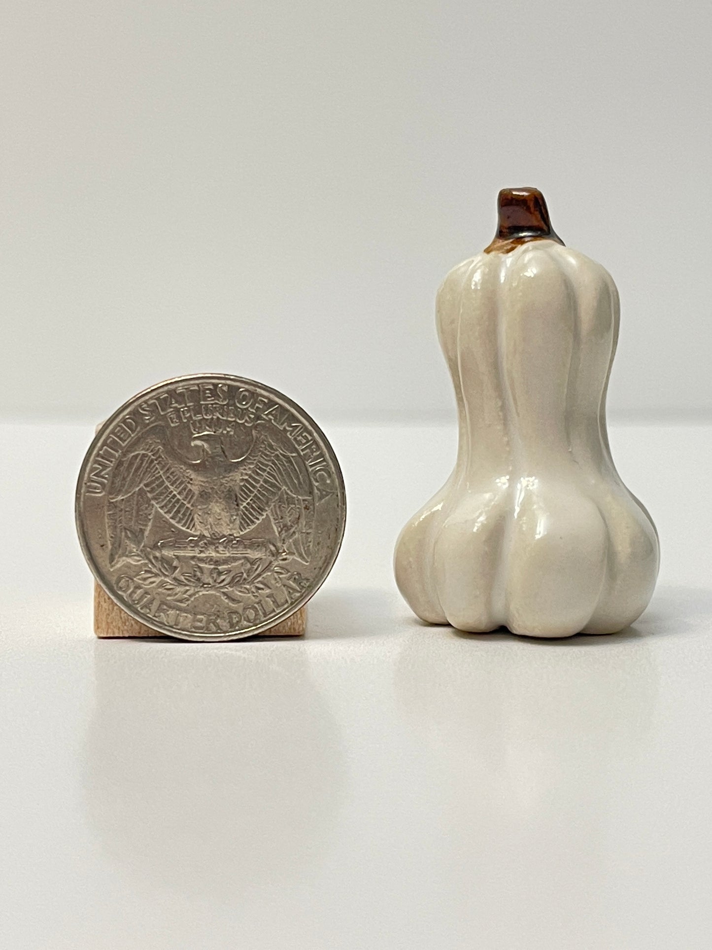Mini Pumpkin - White - Gourd