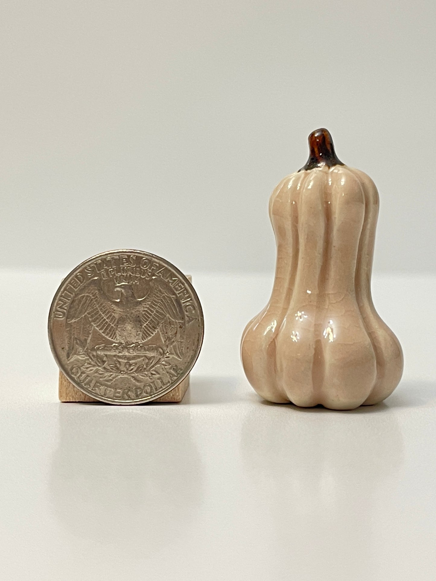 Mini Pumpkin - Light Pink - Gourd