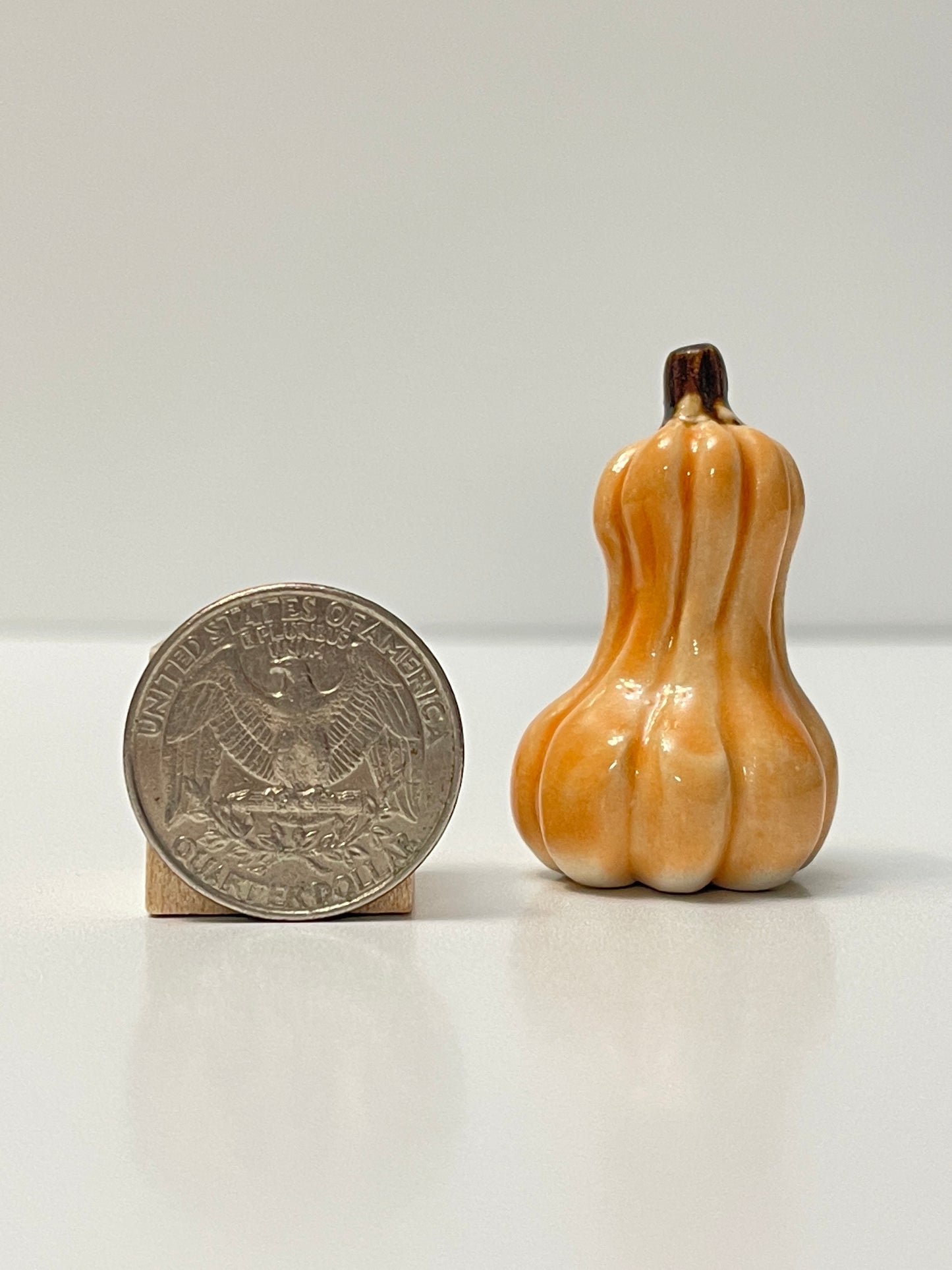 Mini Pumpkin - Tangelo - Gourd