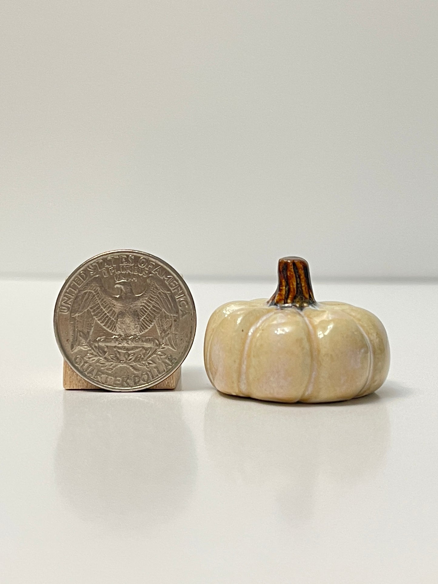 Mini Pumpkin - Honey - Squished