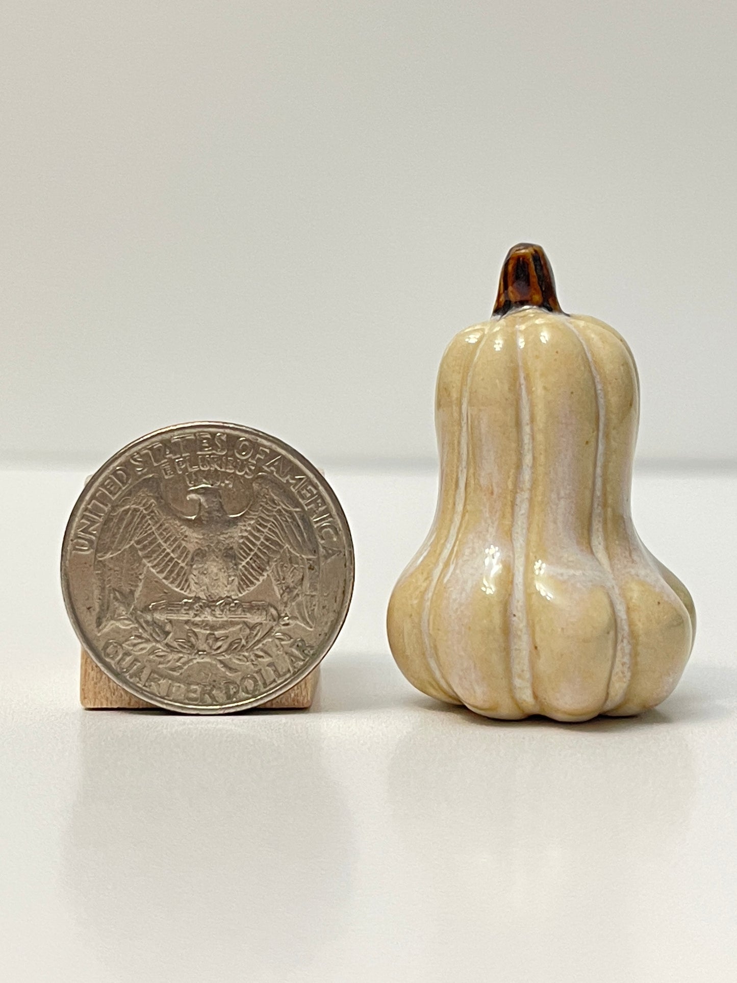 Mini Pumpkin - Honey - Gourd
