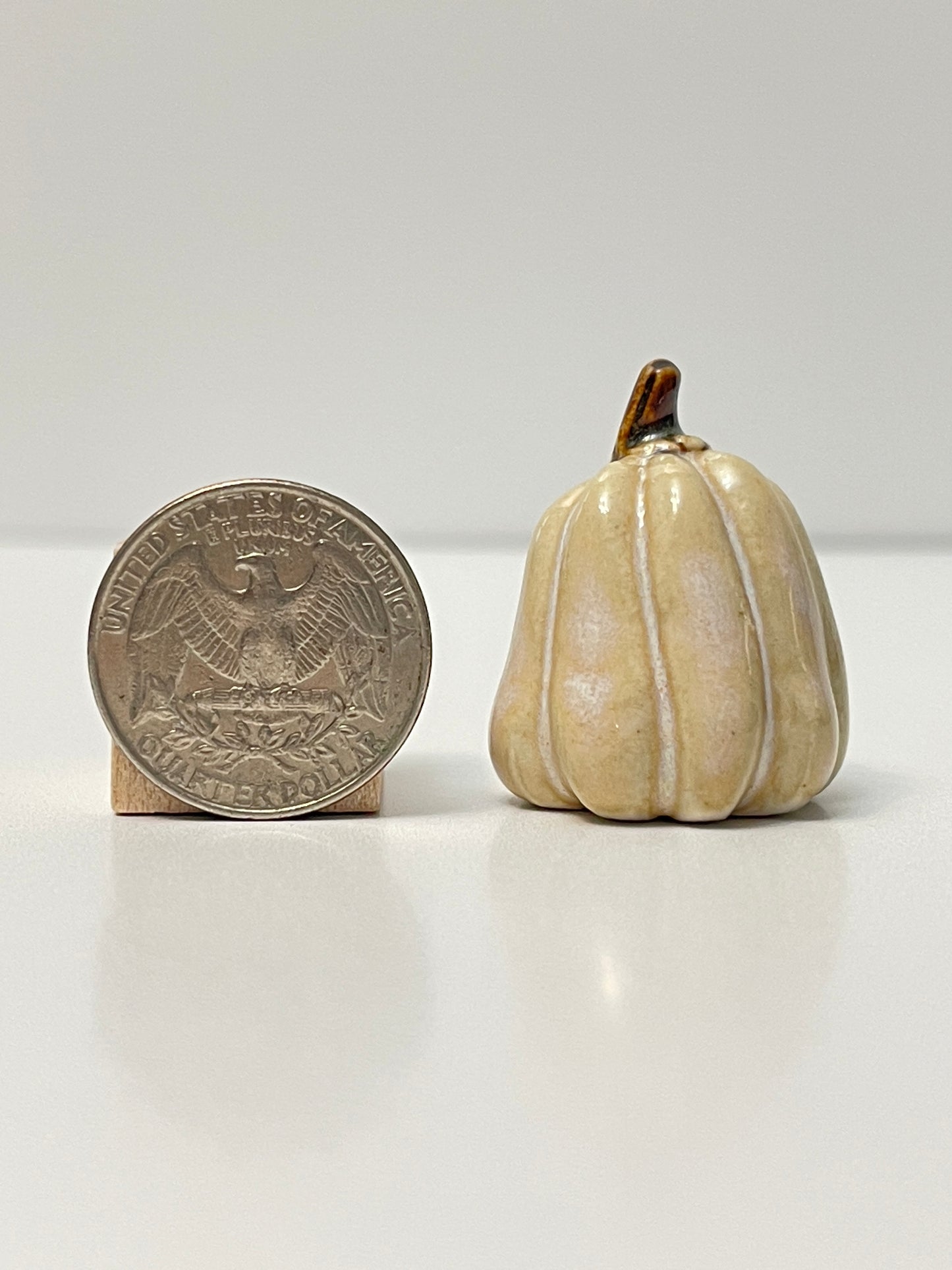 Mini Pumpkin - Honey - Tall