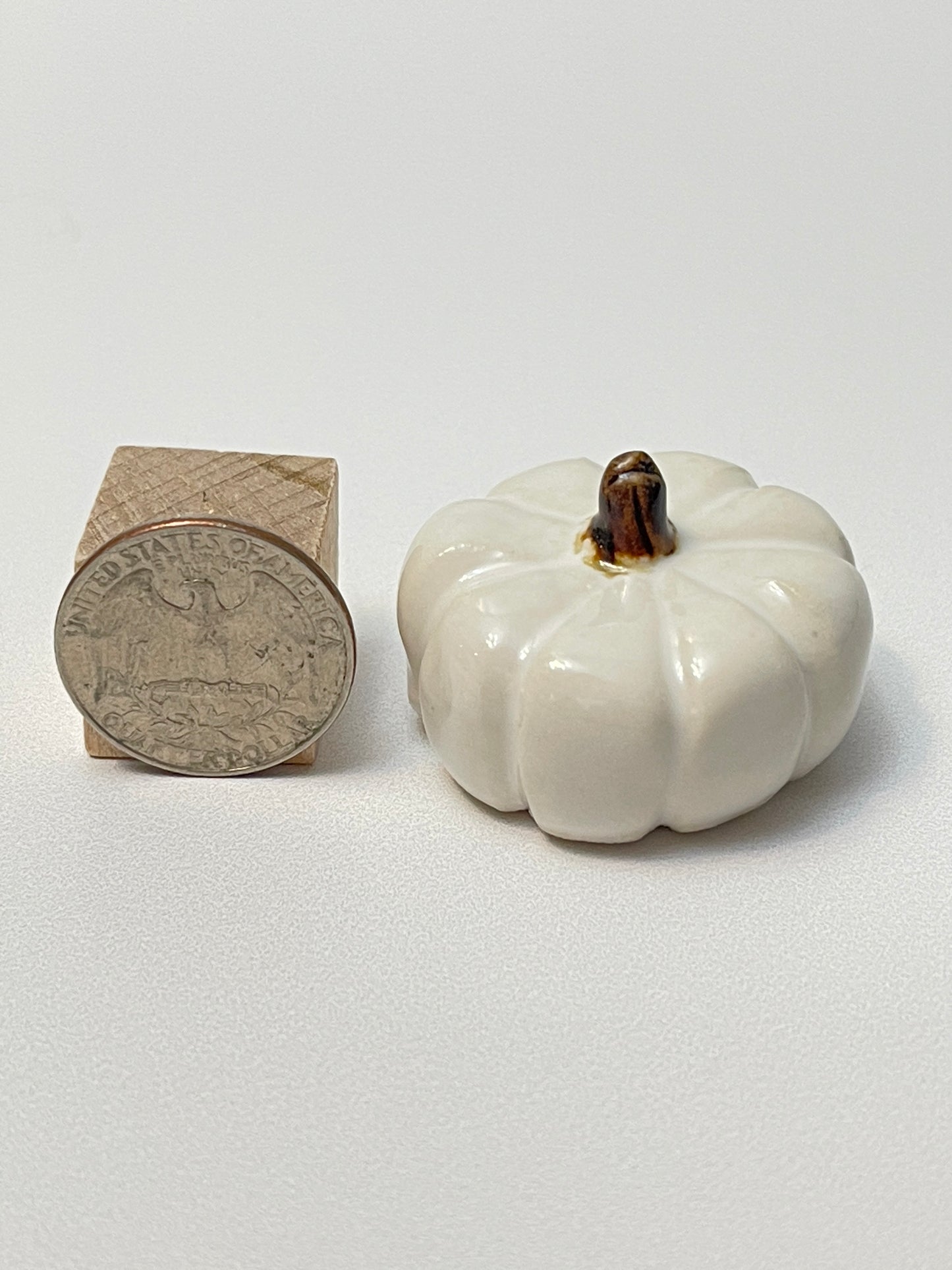 Small Pumpkin - White - Squished