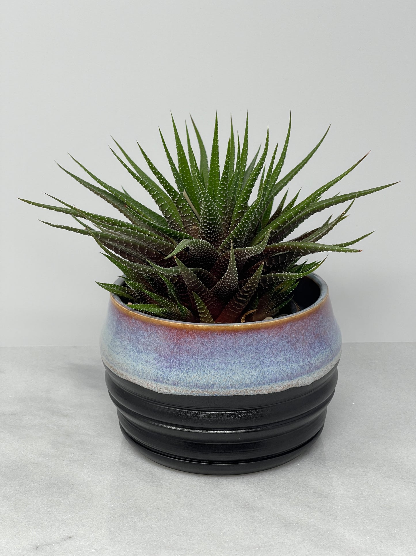 Planter