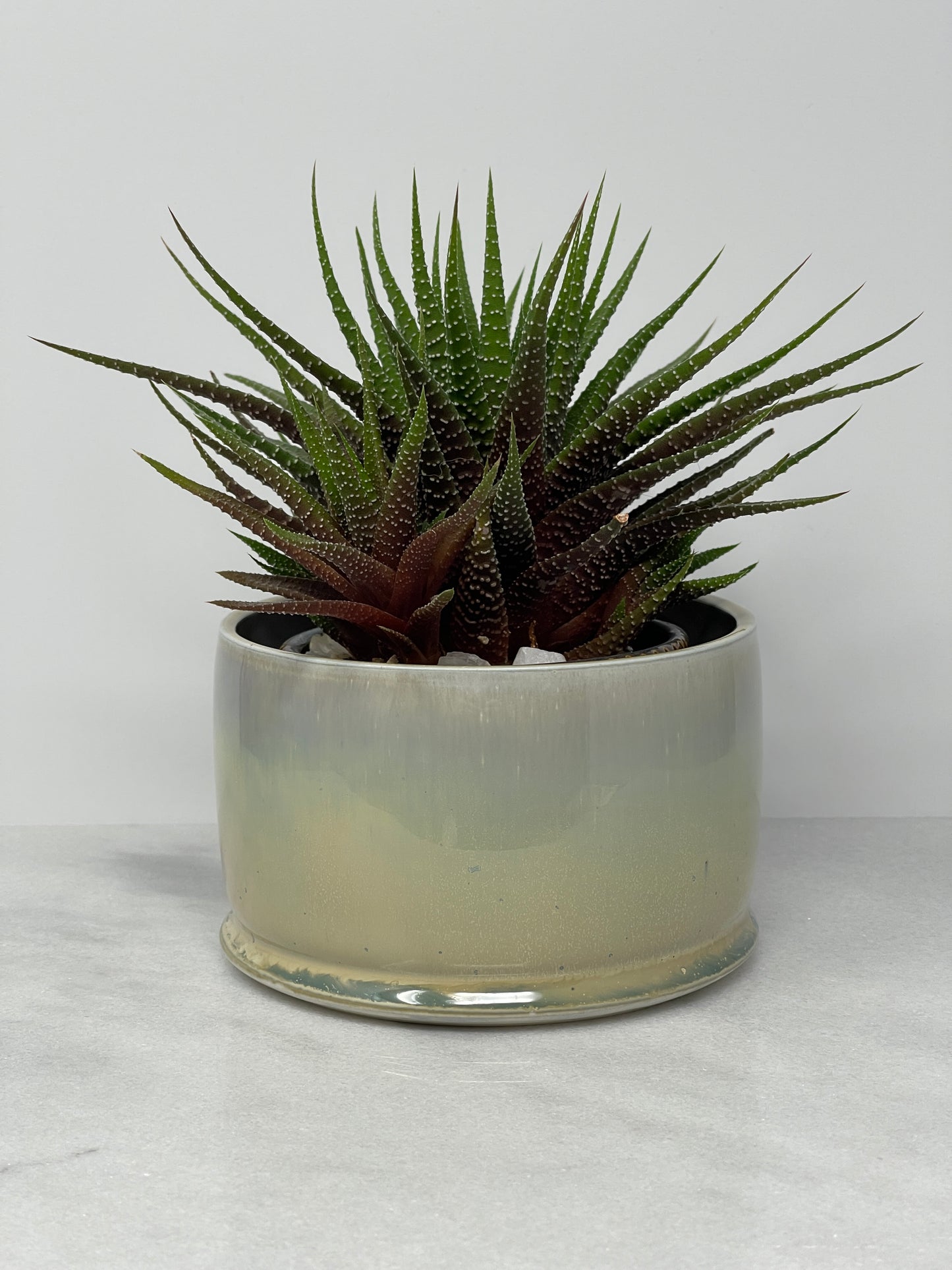 Planter