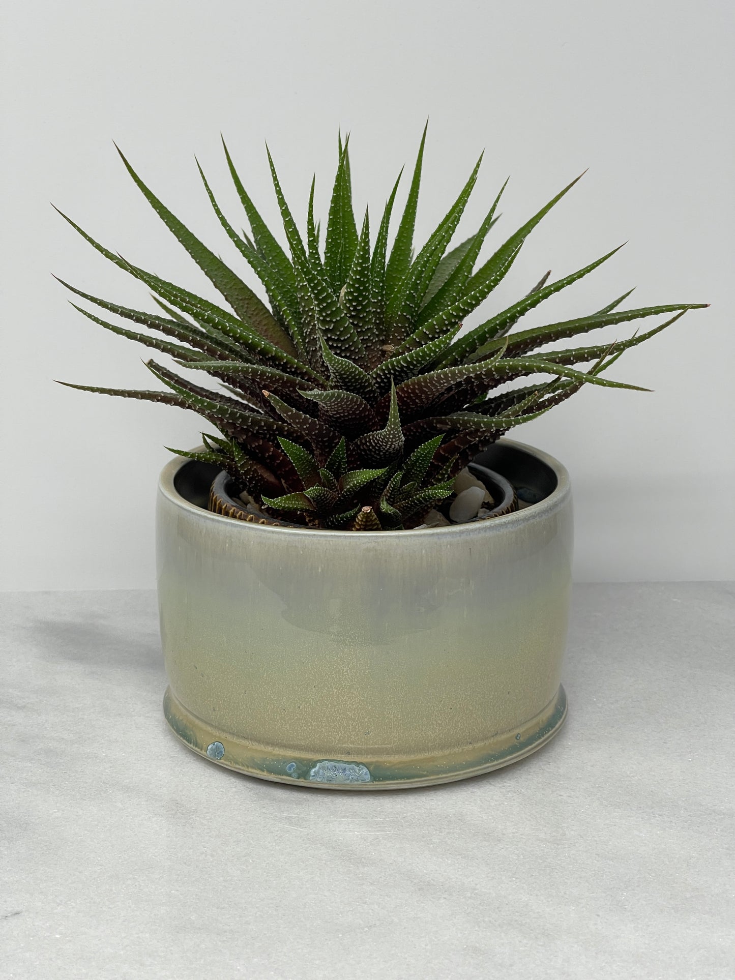 Planter
