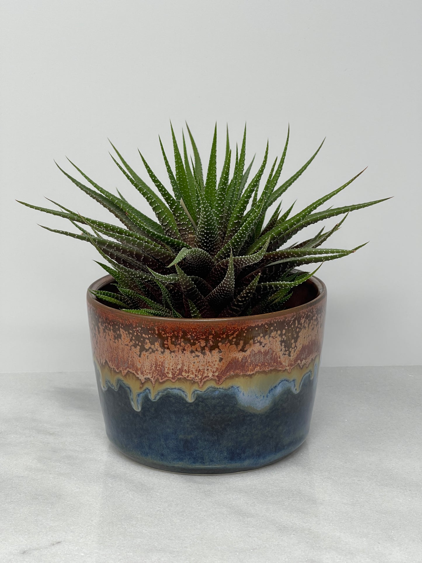 Planter