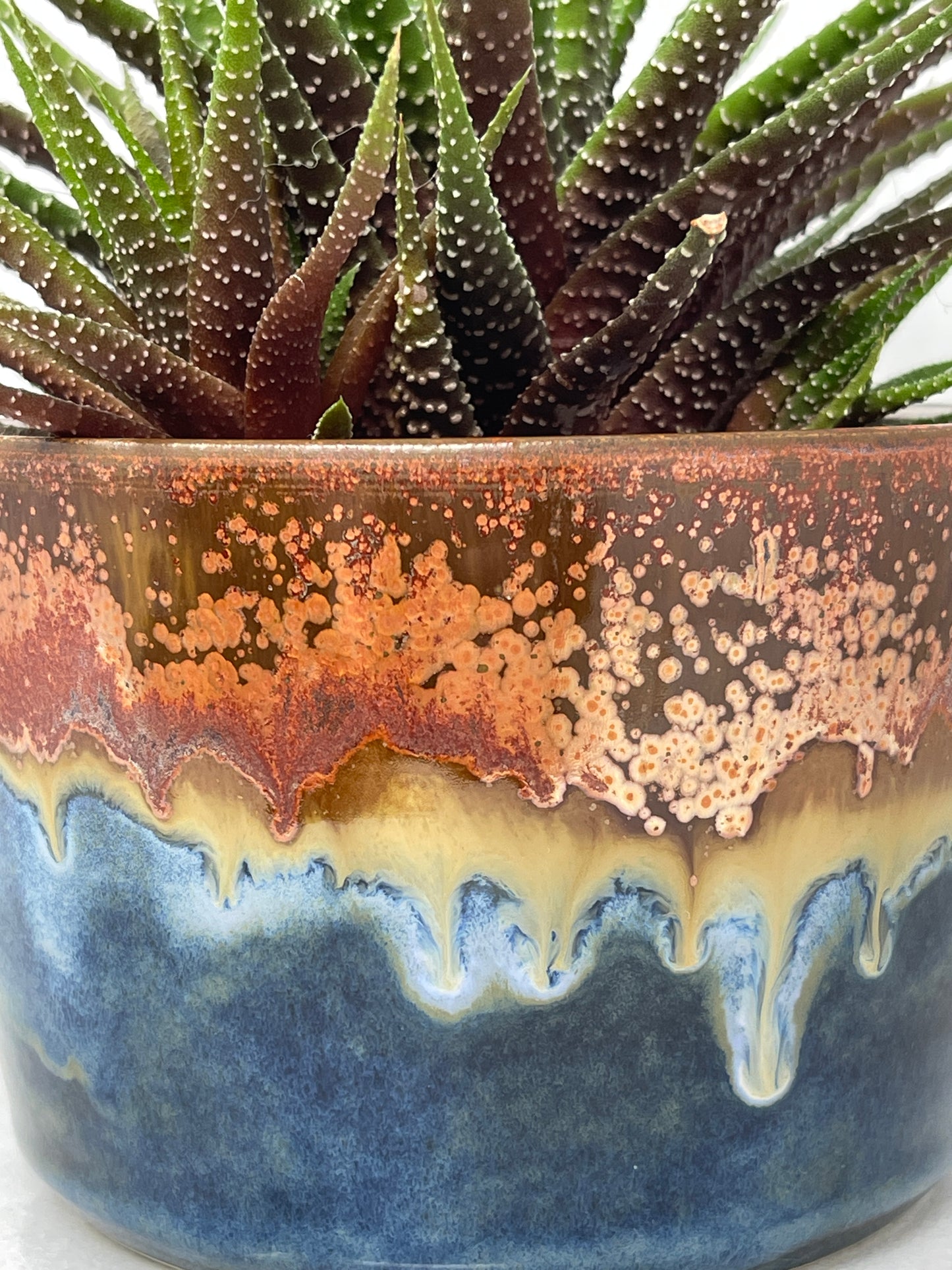 Planter
