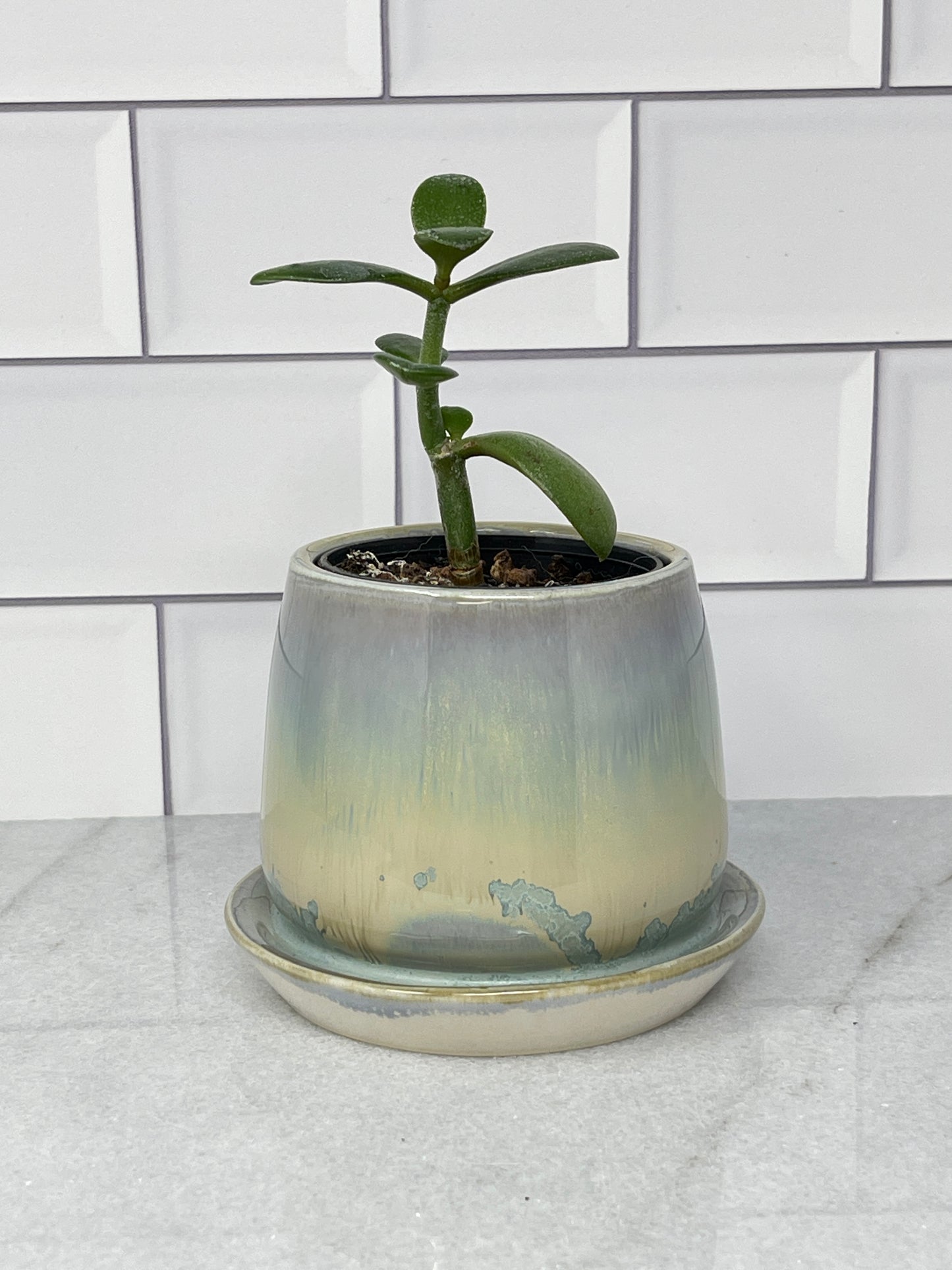 Planter