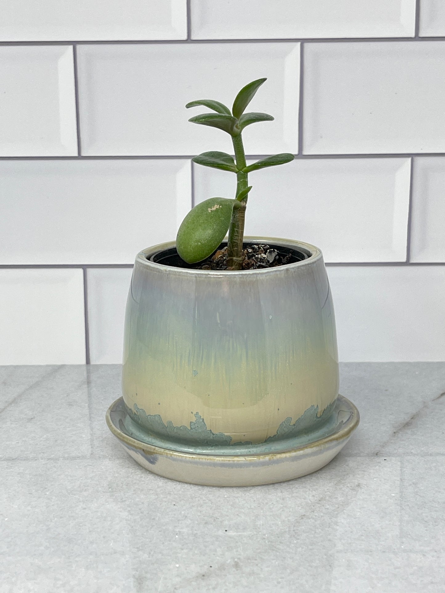 Planter