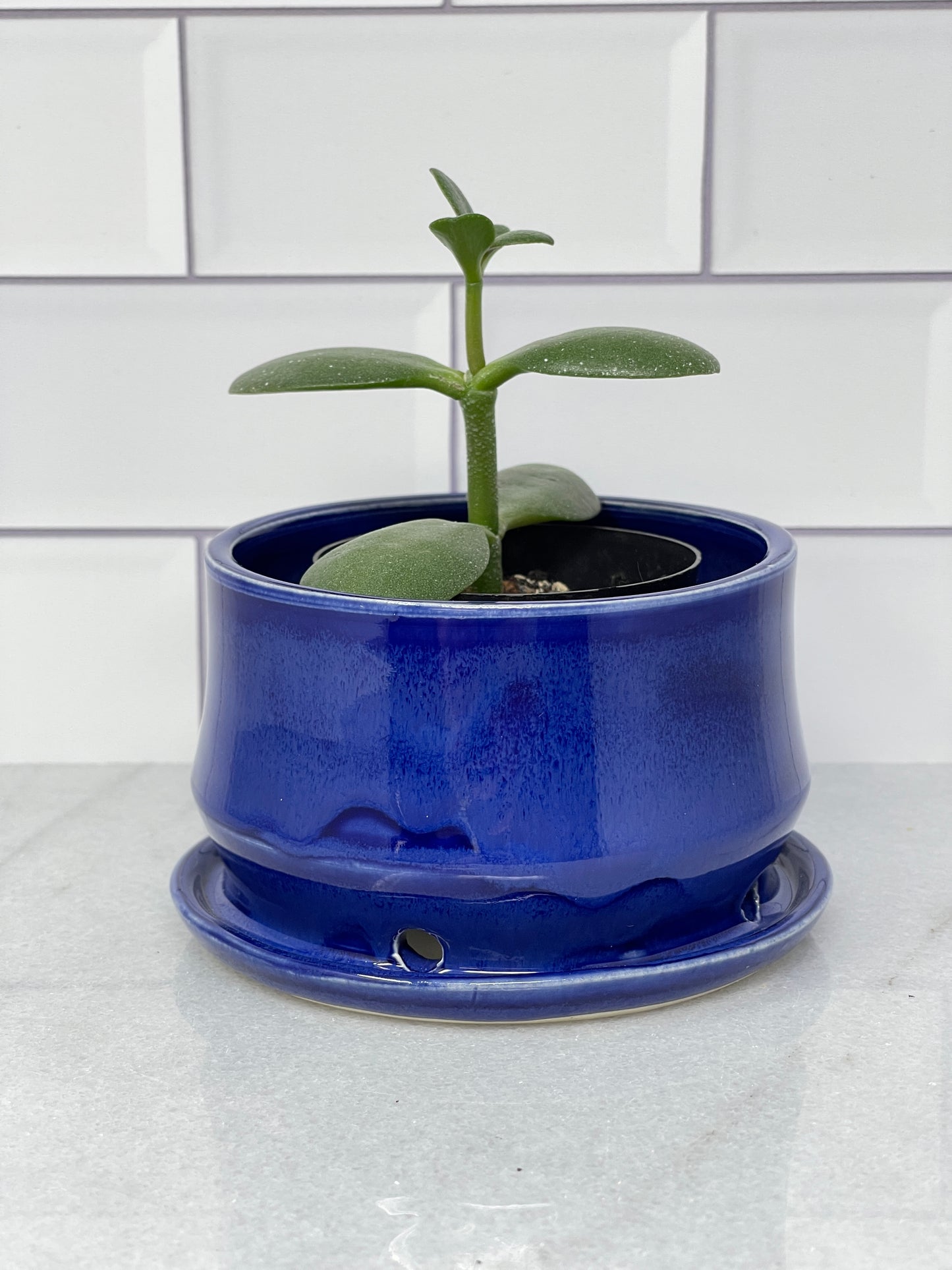 Planter