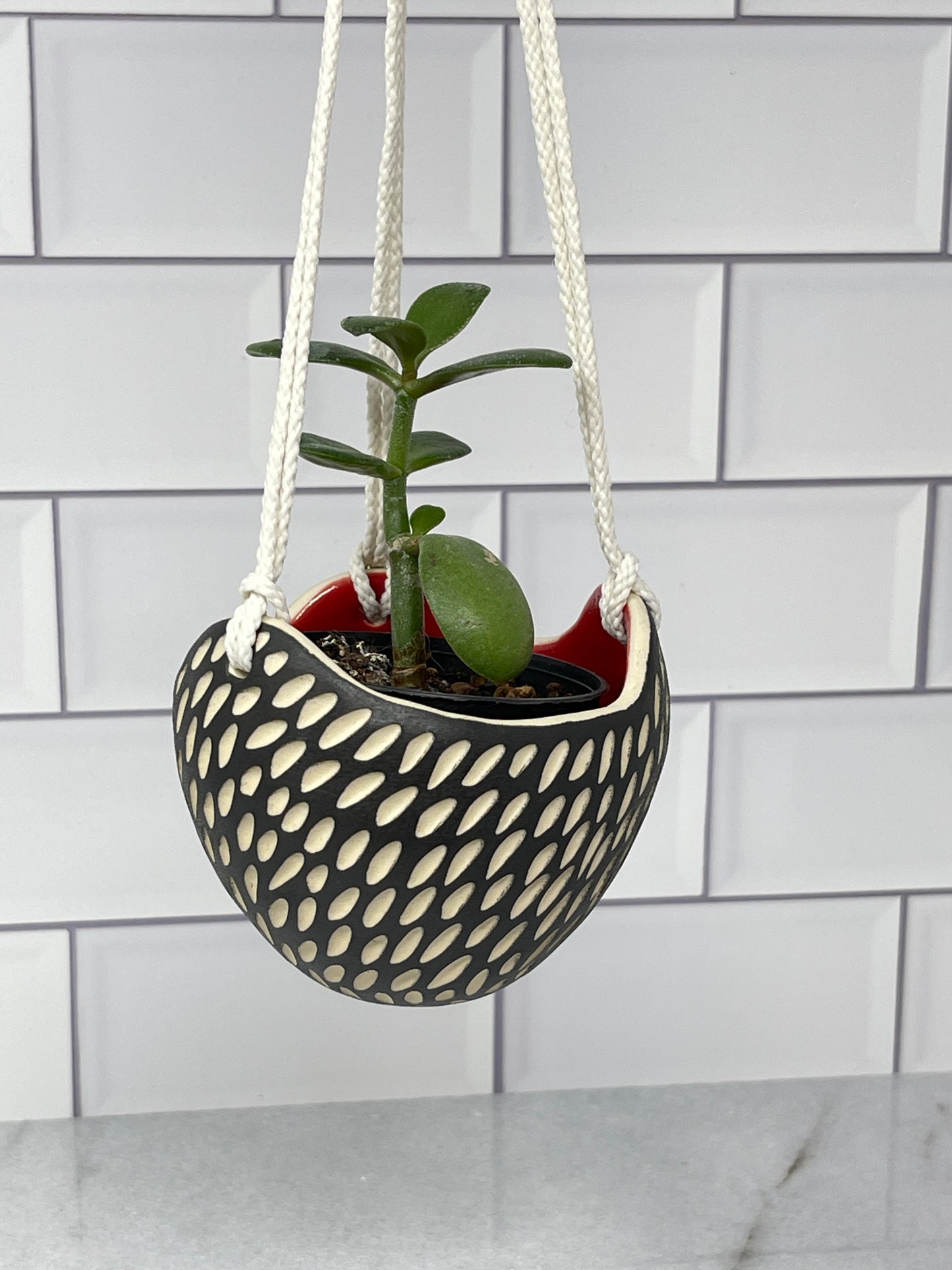Hanging Planter