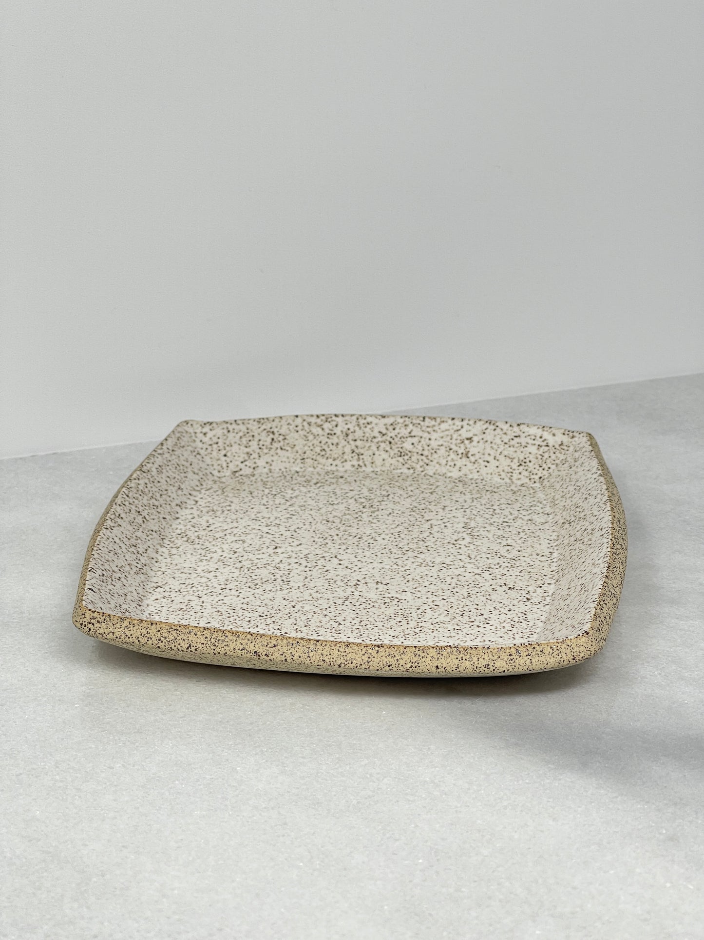 Tray / Plate