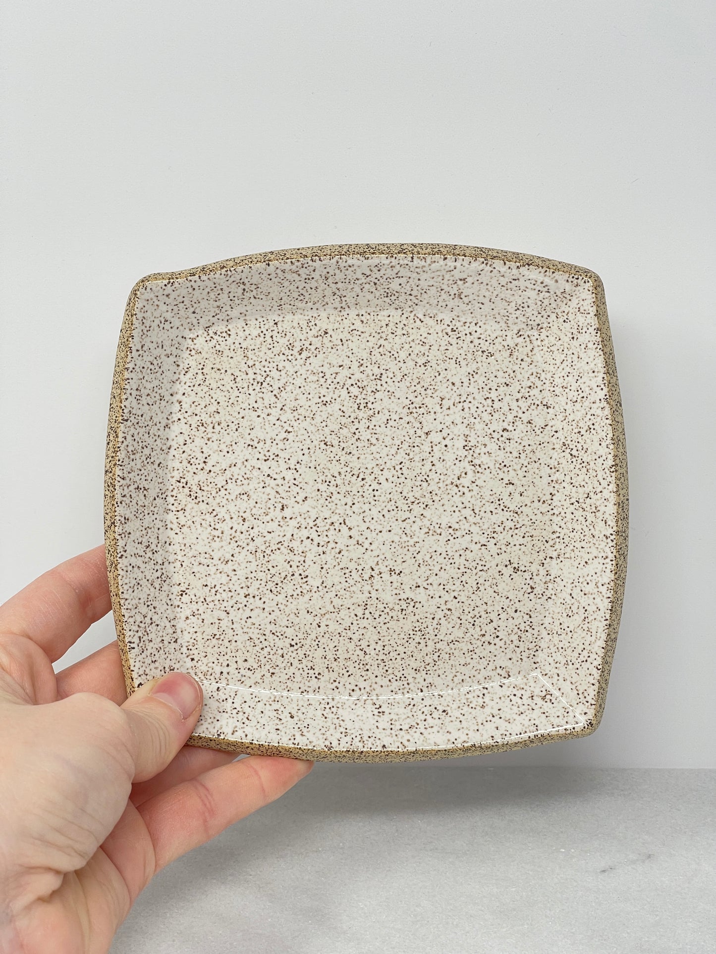 Tray / Plate