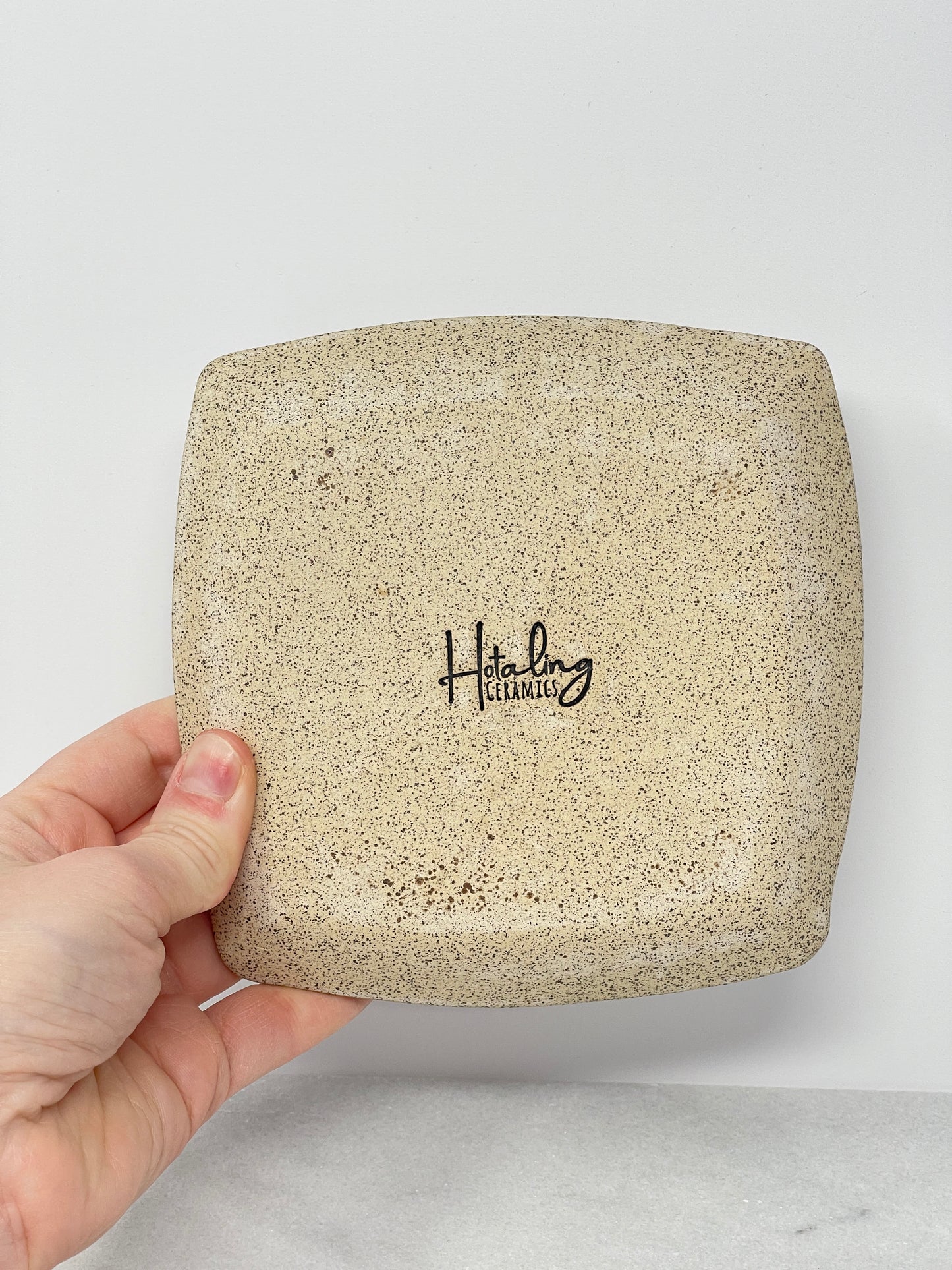 Tray / Plate