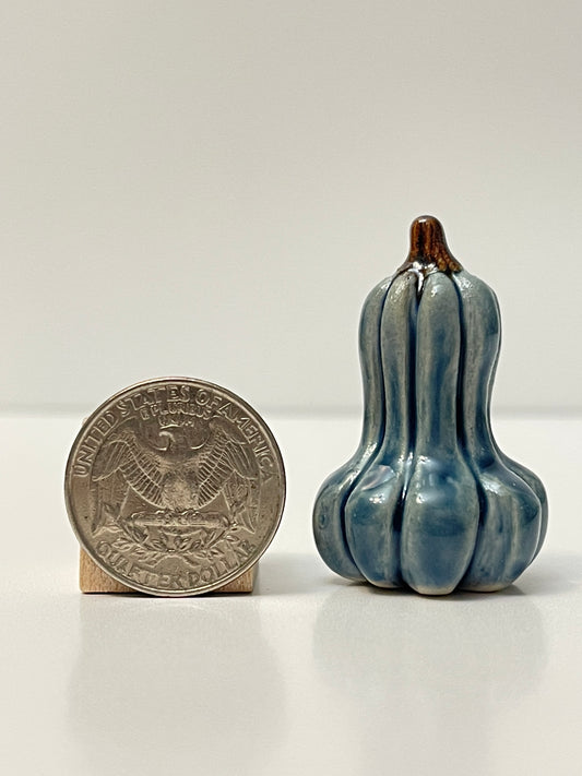 Mini Pumpkin - Shiny Blue - Gourd