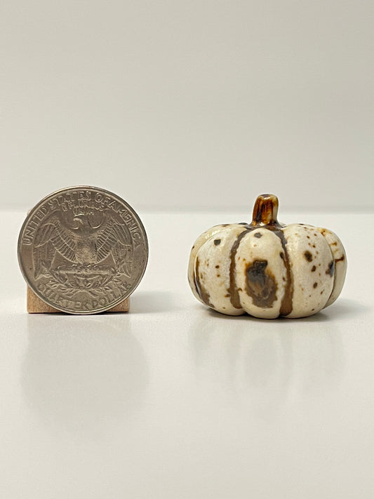 Mini Pumpkin - Winter Wood - Squished