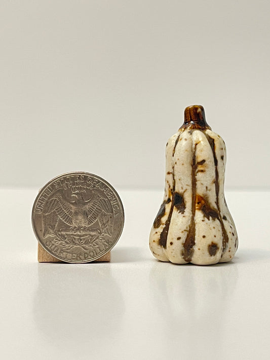 Mini Pumpkin - Winter Wood - Gourd