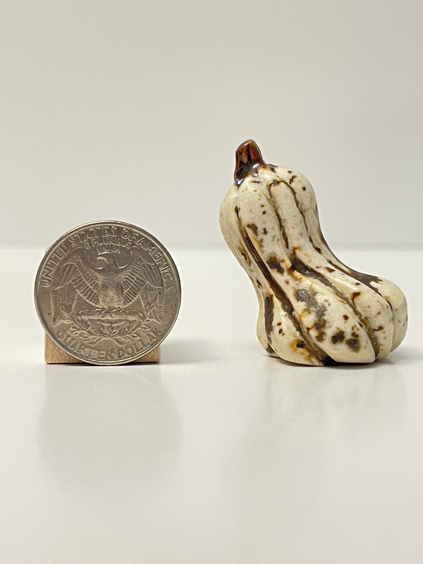 Mini Pumpkin - Winter Wood - Oblong Gourd