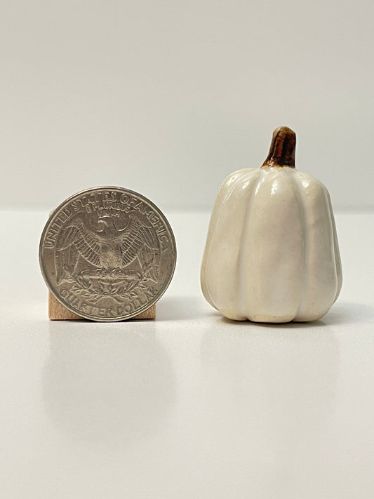 Mini Pumpkin - White - Tall