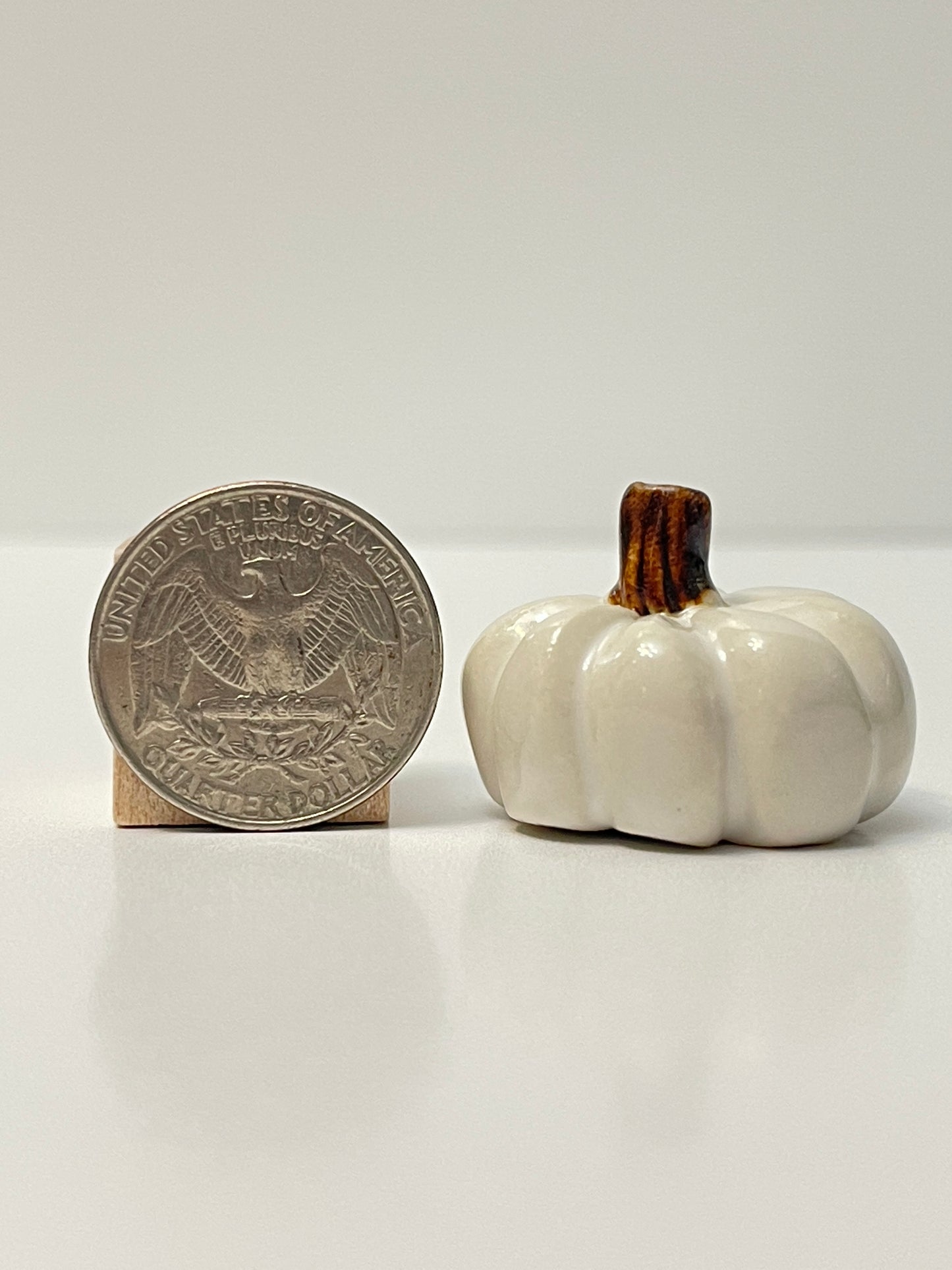 Mini Pumpkin - White - Squished