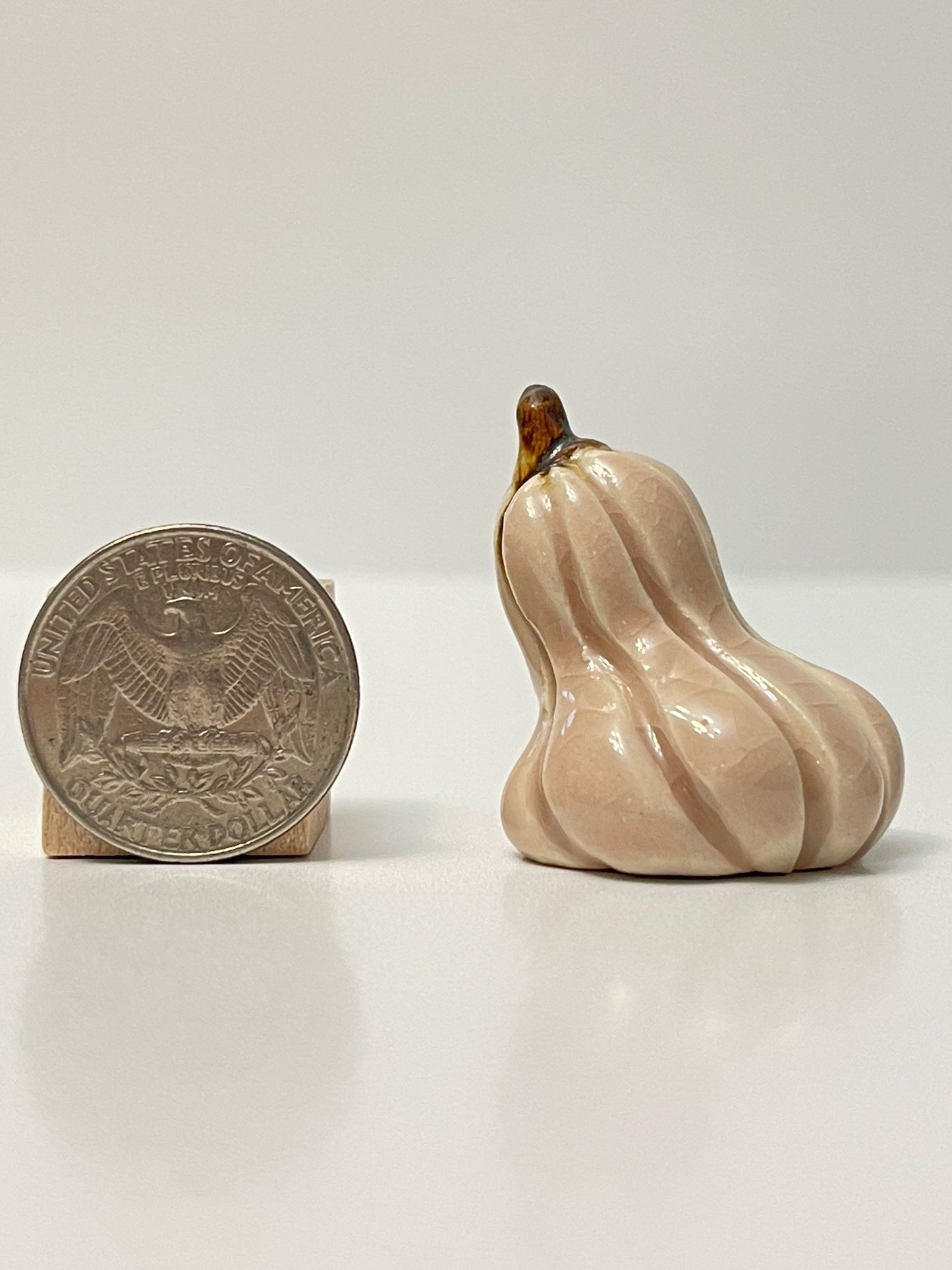 Mini Pumpkin - Light Pink - Oblong Gourd