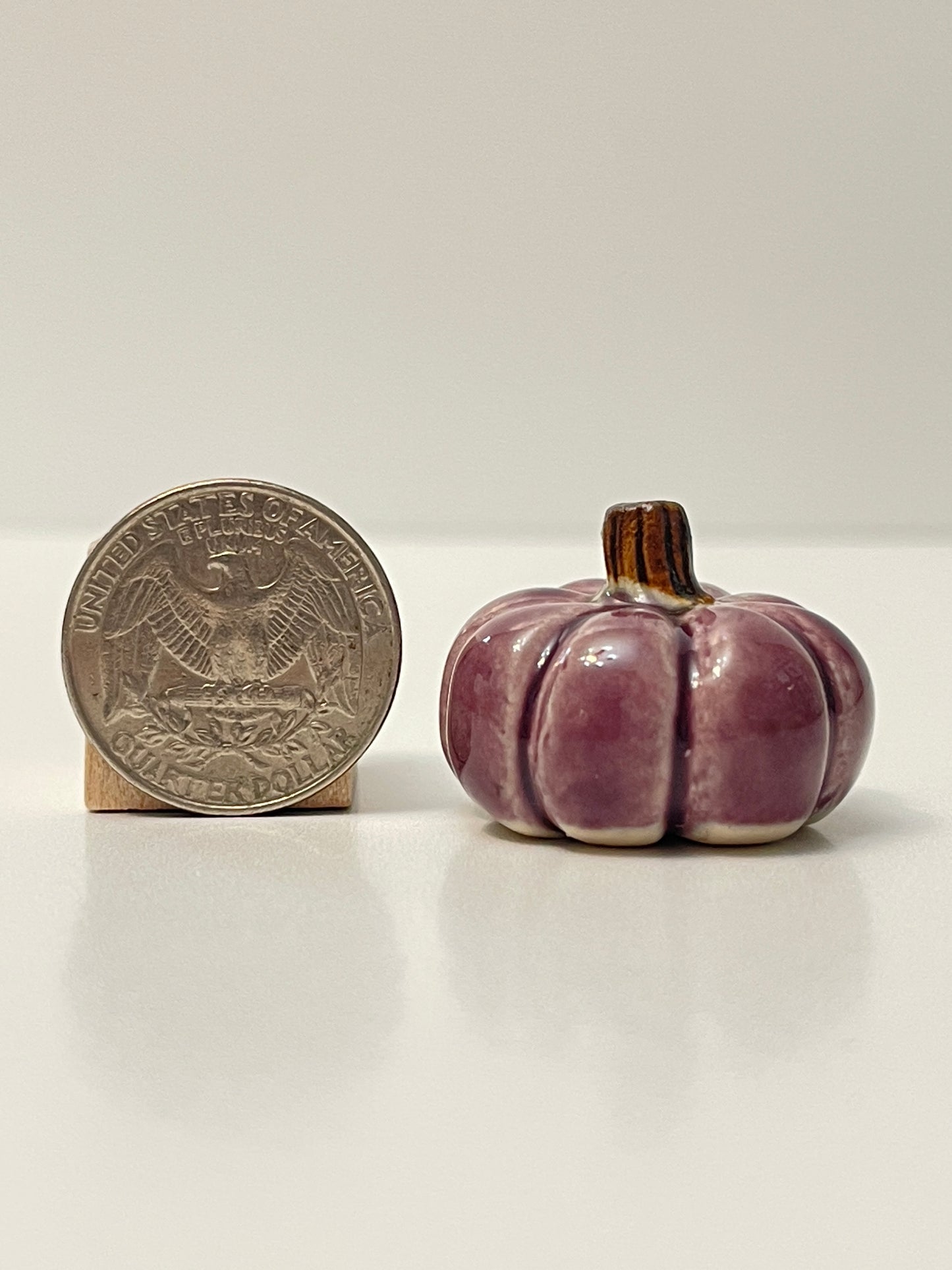 Mini Pumpkin - Purple - Squished