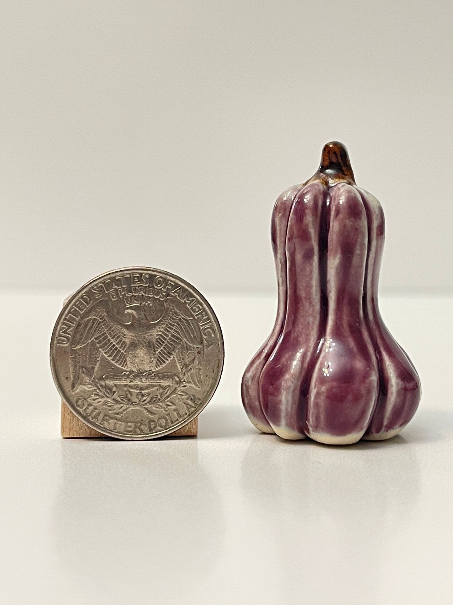 Mini Pumpkin - Purple - Gourd
