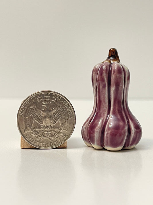 Mini Pumpkin - Purple - Gourd