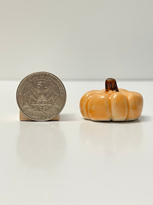Mini Pumpkin - Tangelo - Squished