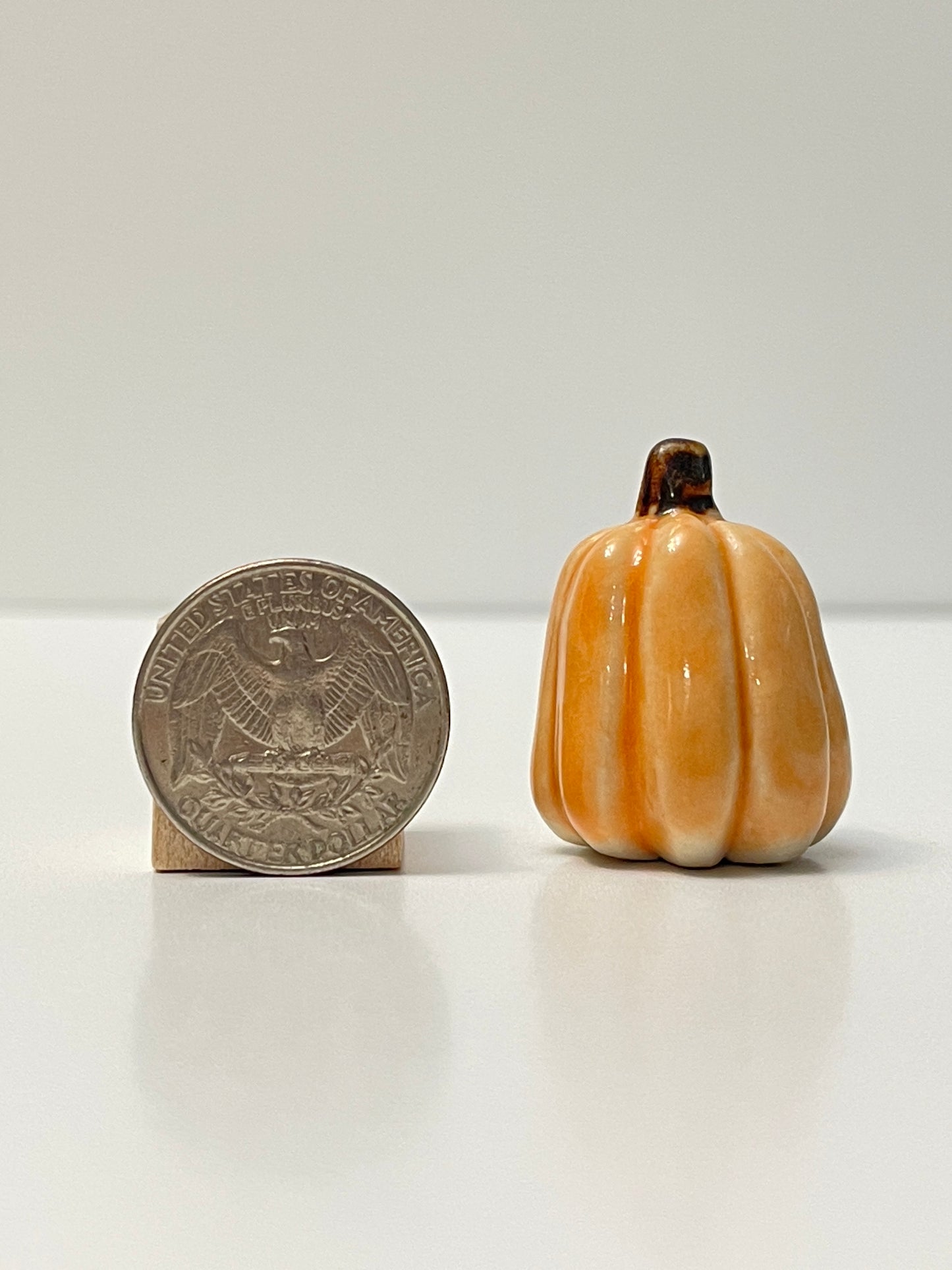 Mini Pumpkin - Tangelo - Tall