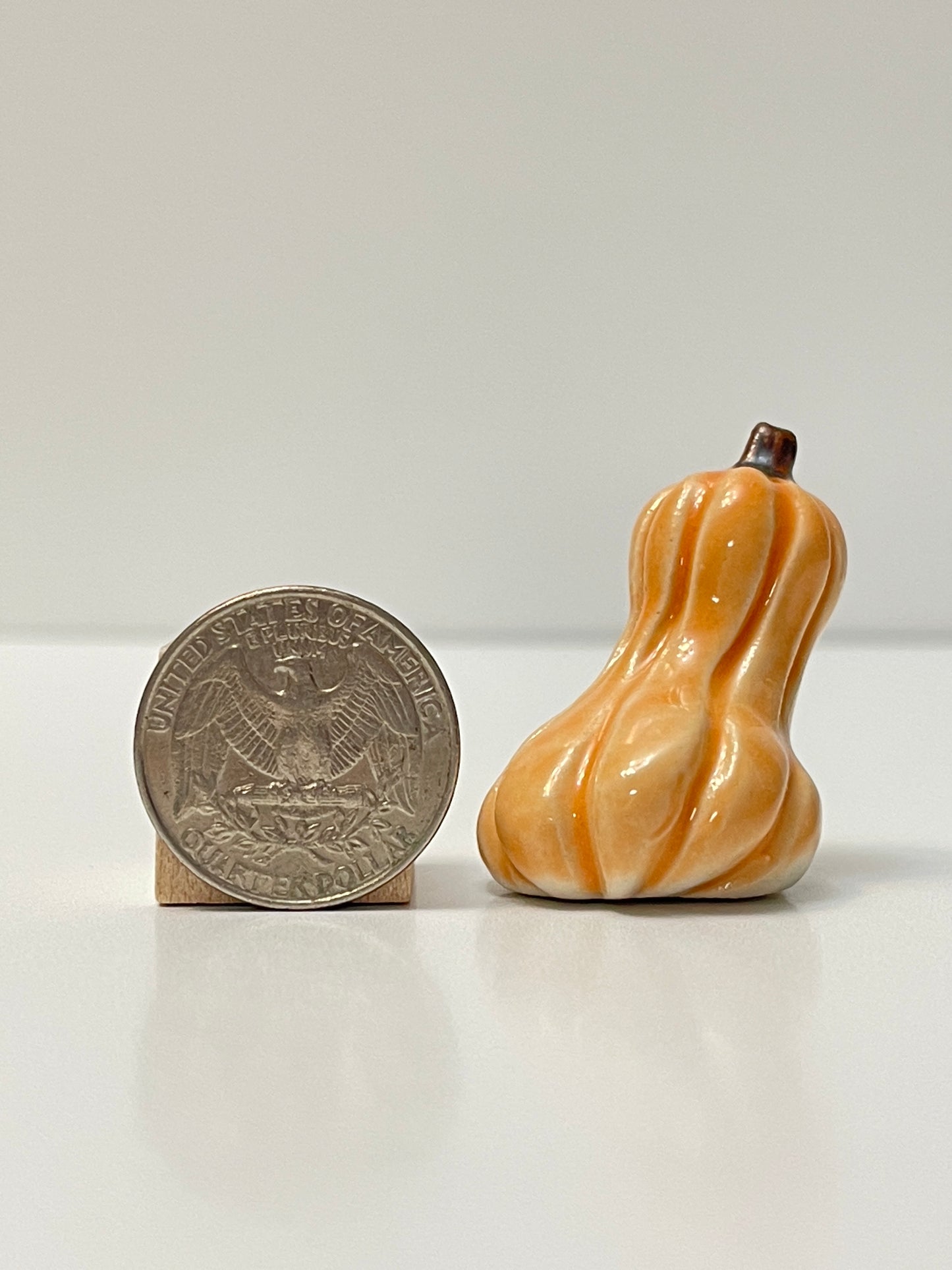Mini Pumpkin - Tangelo - Oblong Gourd