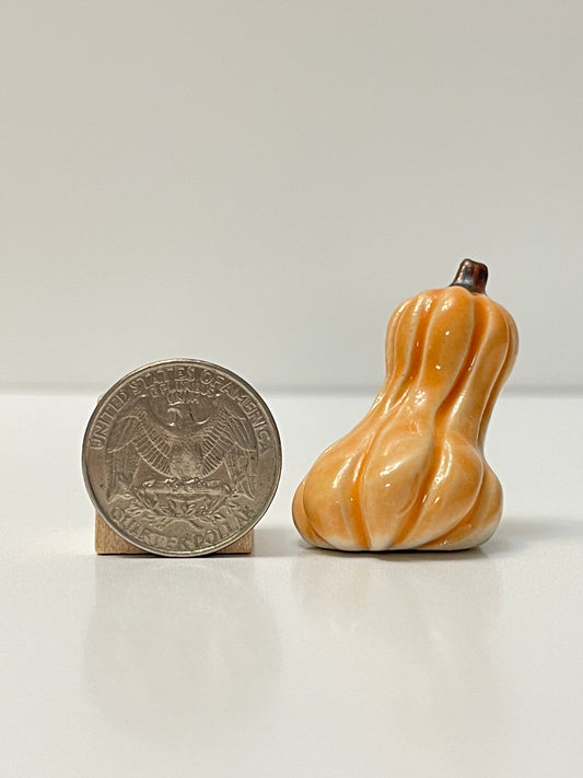 Mini Pumpkin - Tangelo - Oblong Gourd