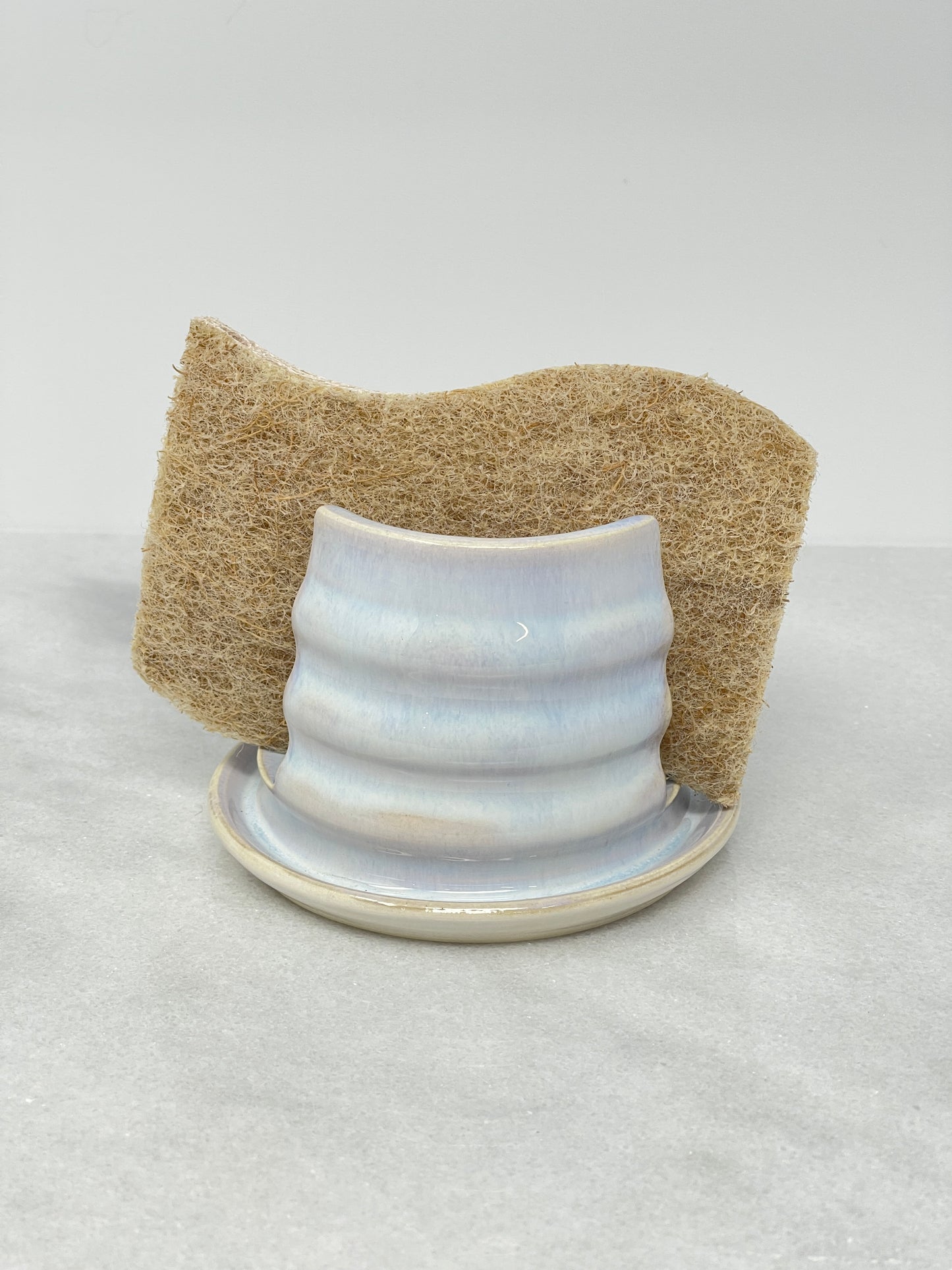 Sponge Holder #6