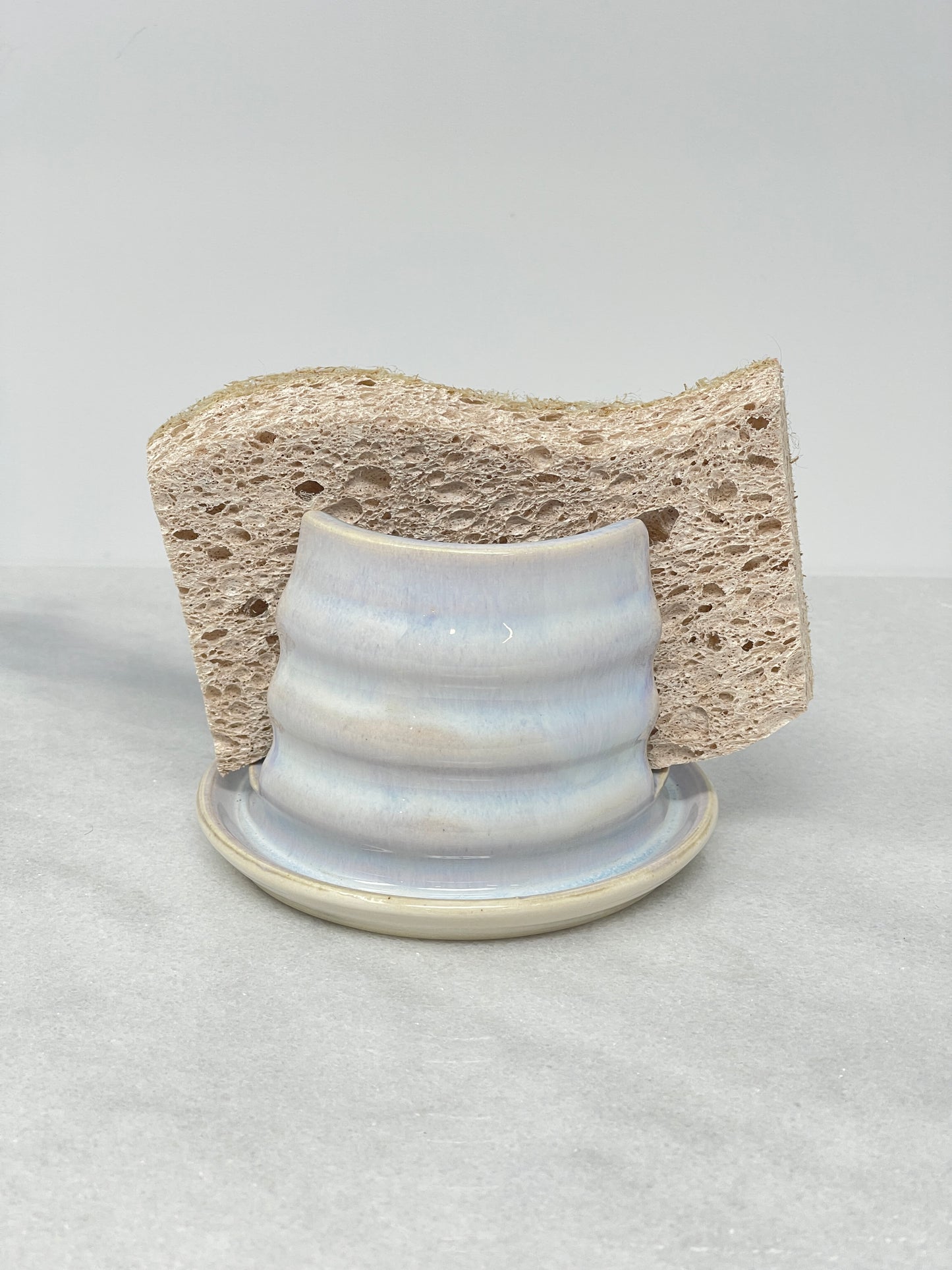 Sponge Holder #6