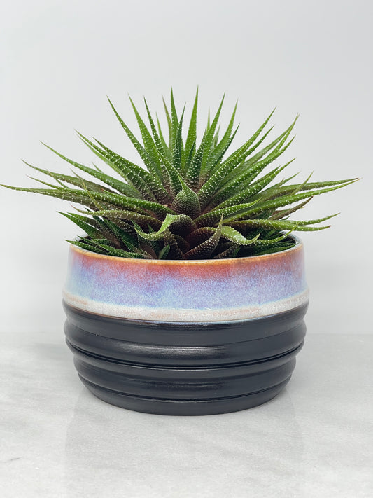 Planter #1Unicorn