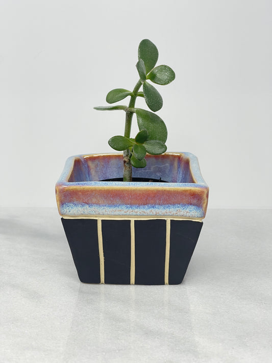 Planter Cube