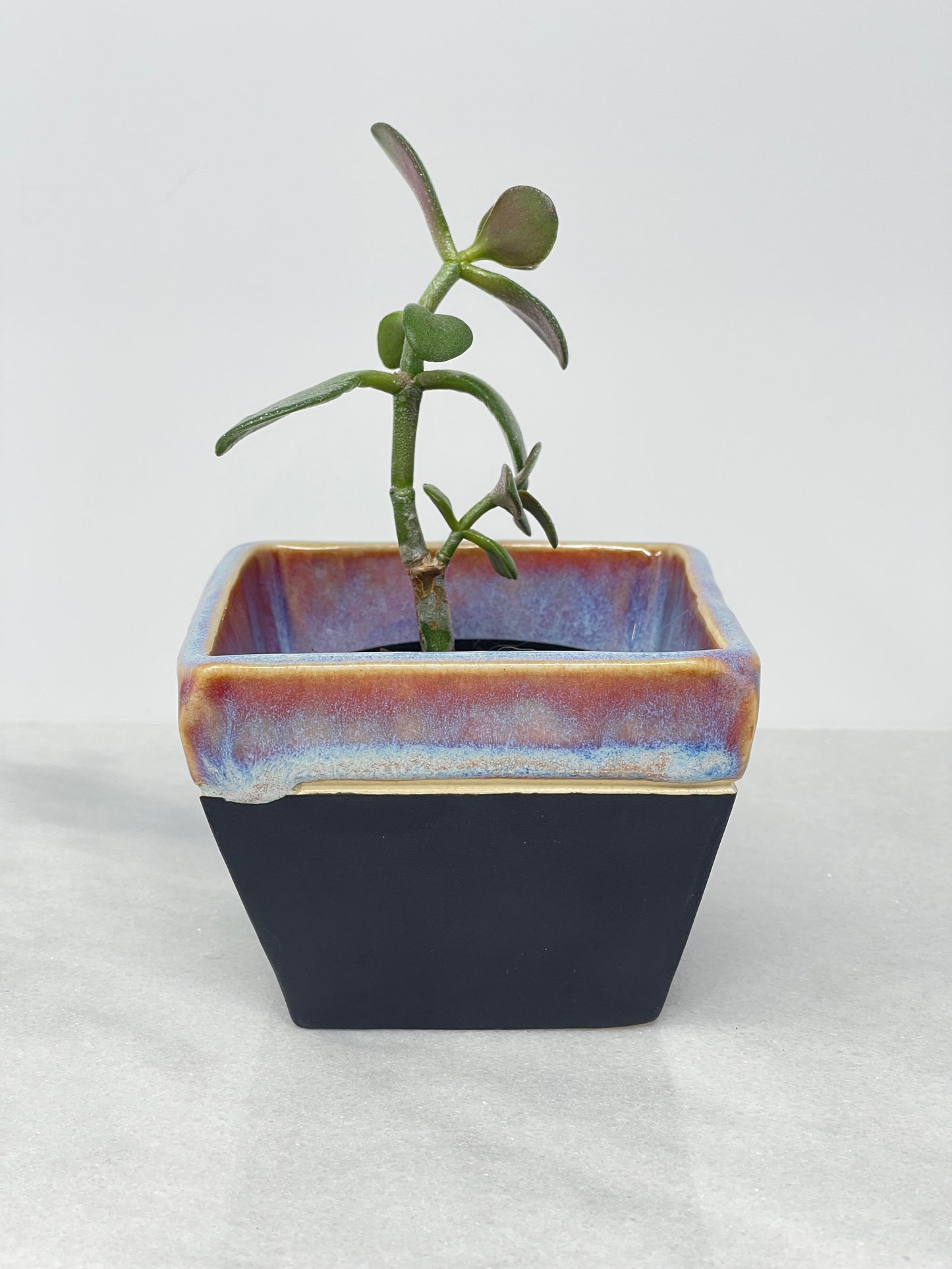 Planter Cube