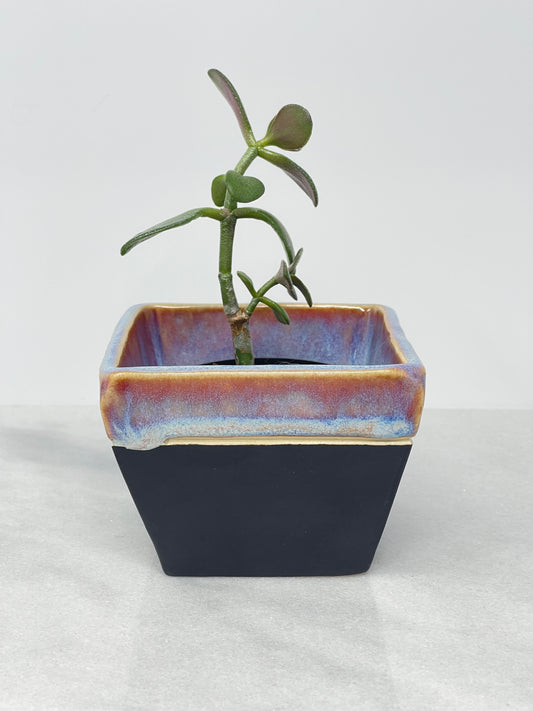 Planter Cube