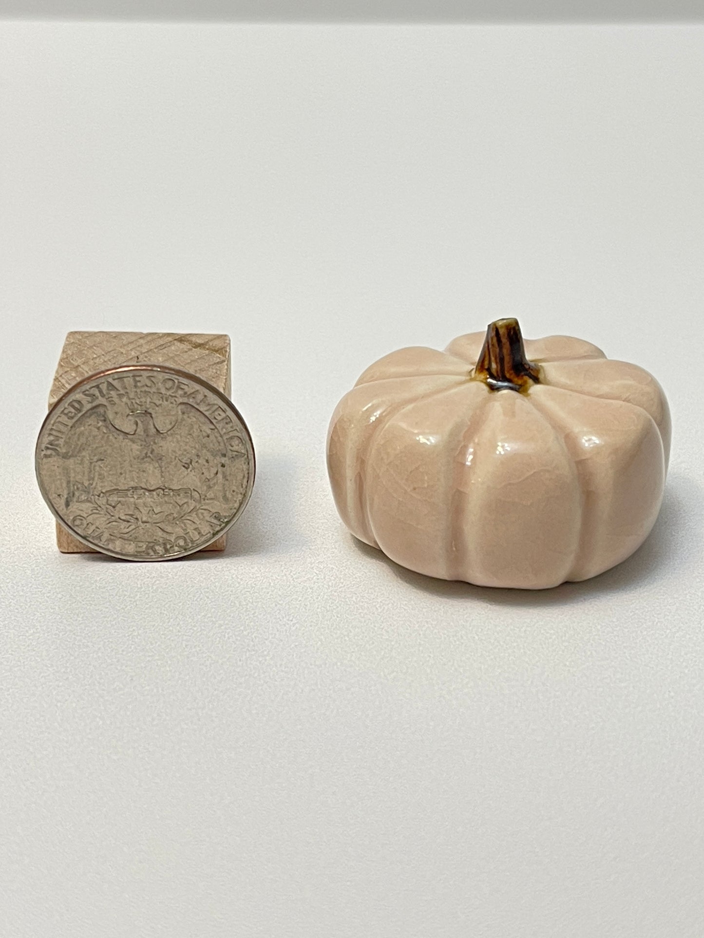 Small Pumpkin - Light Pink - Squished