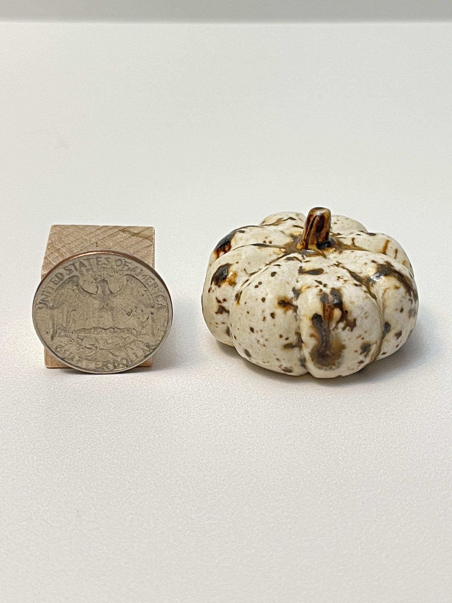 Small Pumpkin - Winterwood - Squished