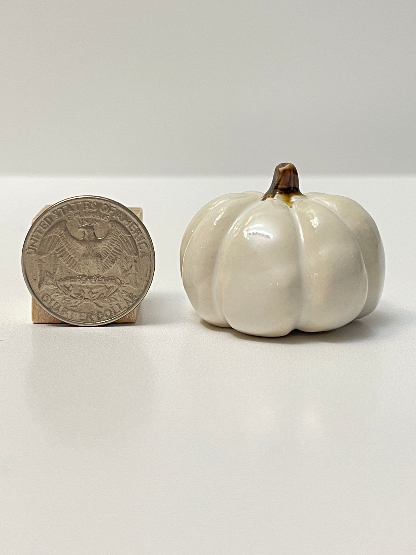 Small Pumpkin - White - Round