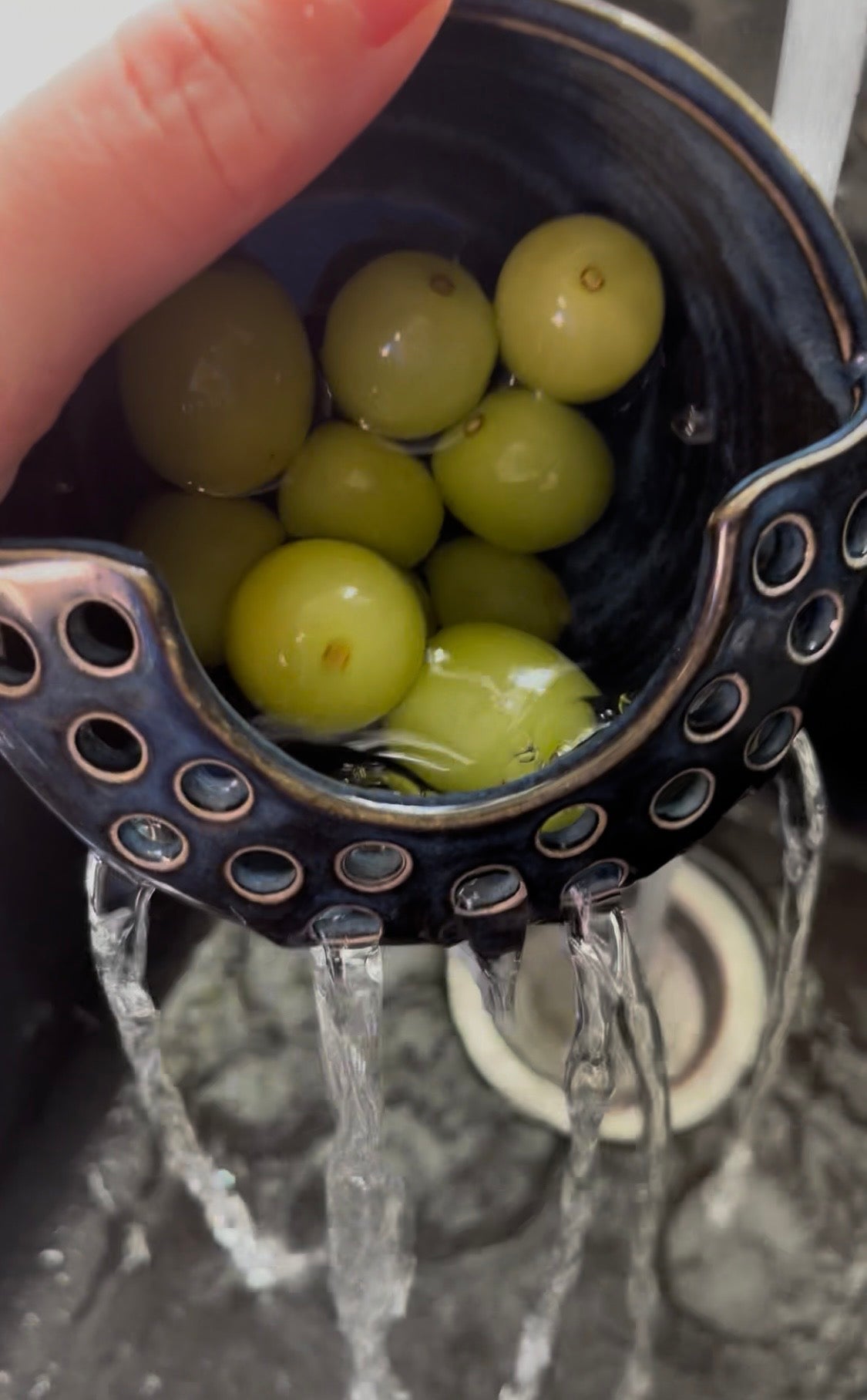 Berry-Go-Bowl *Preorder*